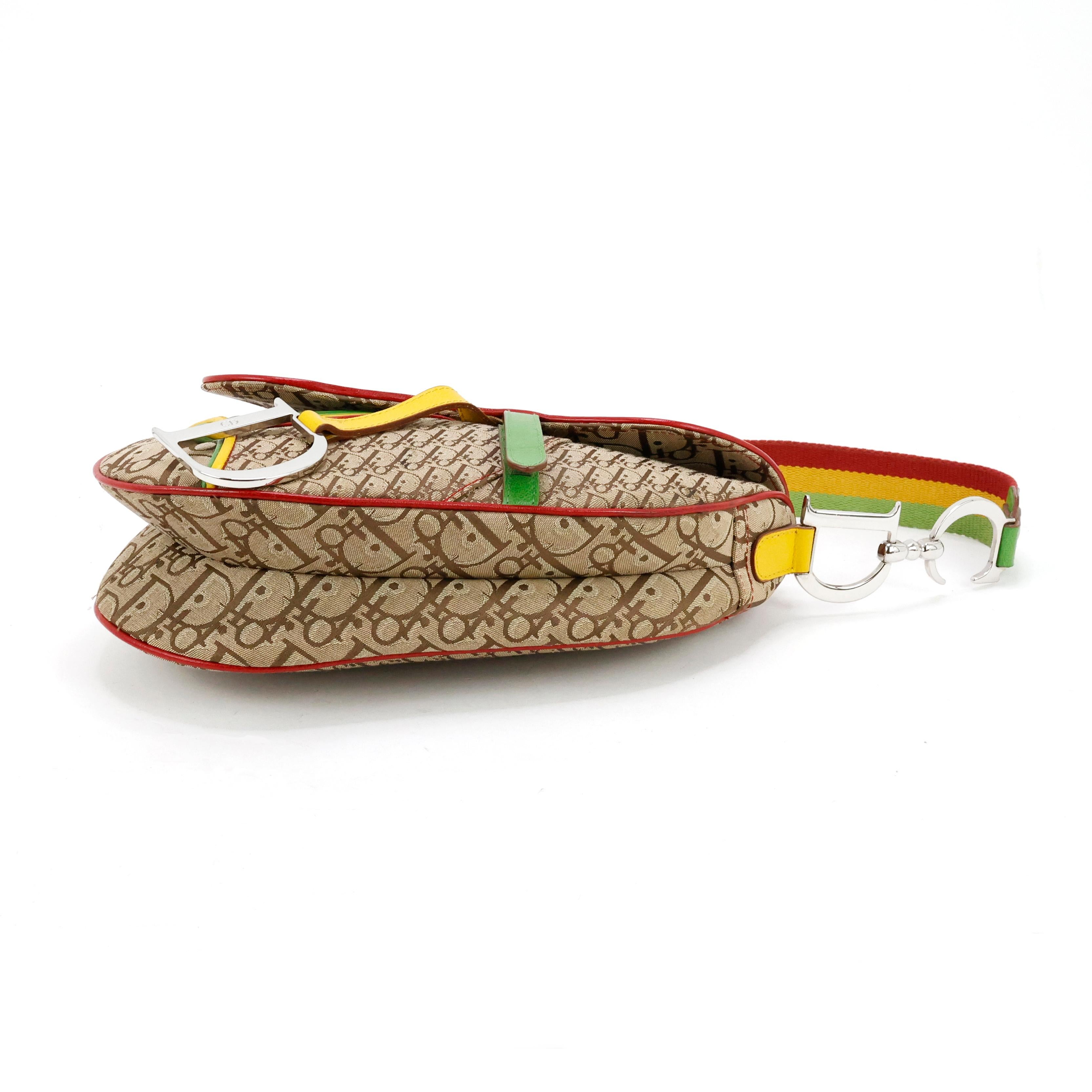 Rare Christian Dior by John Galliano Rasta Saddle bag In Excellent Condition For Sale In Bressanone, Trentino-Alto Adige