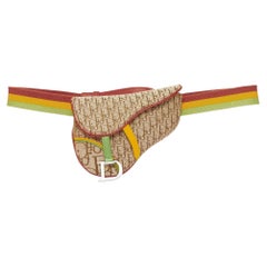 rare CHRISTIAN DIOR John Galliano 2004 Rasta Trotter mini saddle belt bag