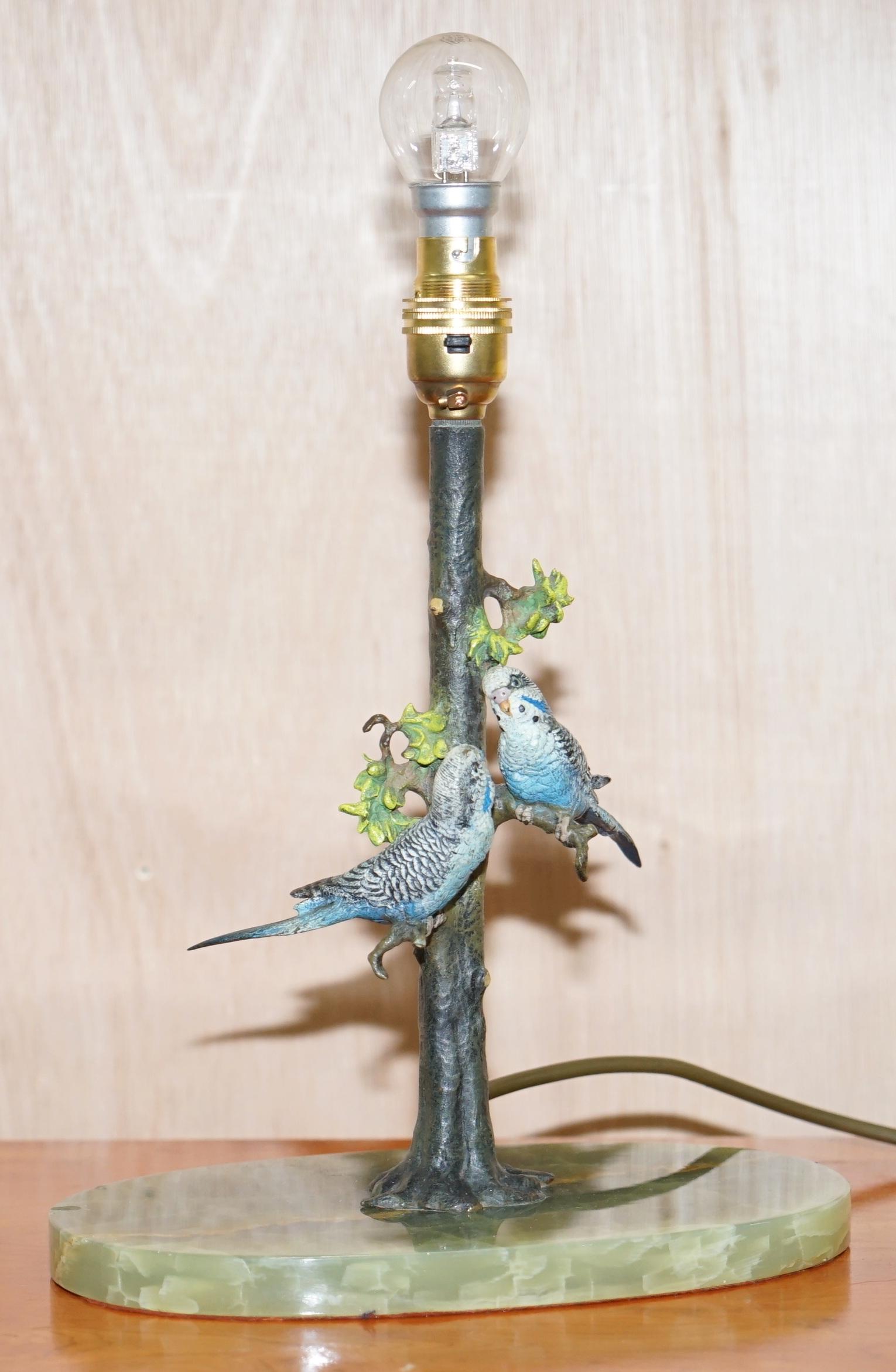 harlequin budgie