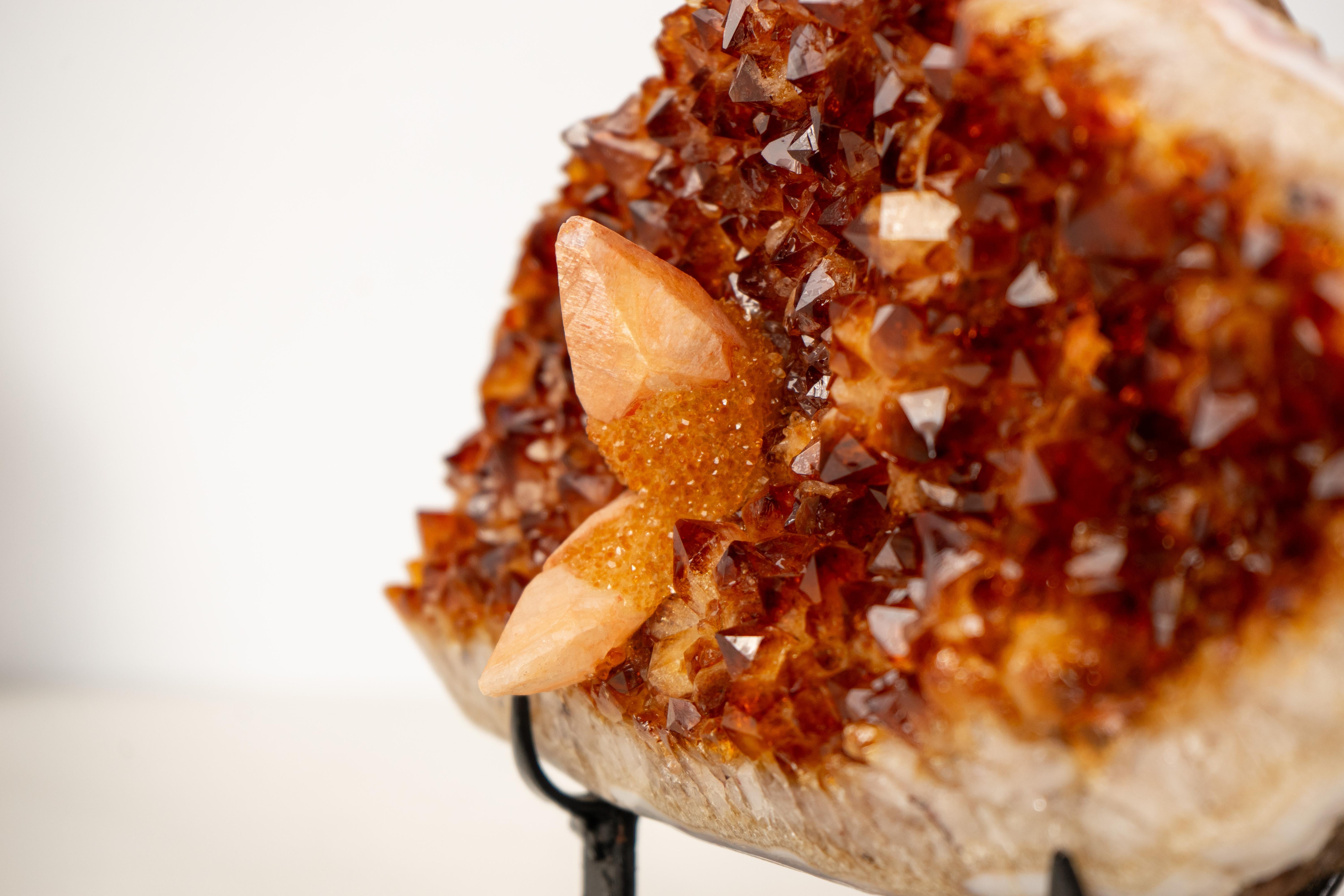 Un raro esemplare di citrino con calcite

▫️ Descrizione

Questo raro esemplare di citrino, apparentemente modellato dalla natura in funzione dell'estetica, mostra le ricercate punte color Madeira, la calcite splendidamente formata e le qualità
