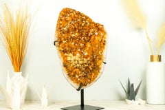 Rare Citrine Cluster with Cubic Calcite Inclusions and Galaxy Druzy, Gallery