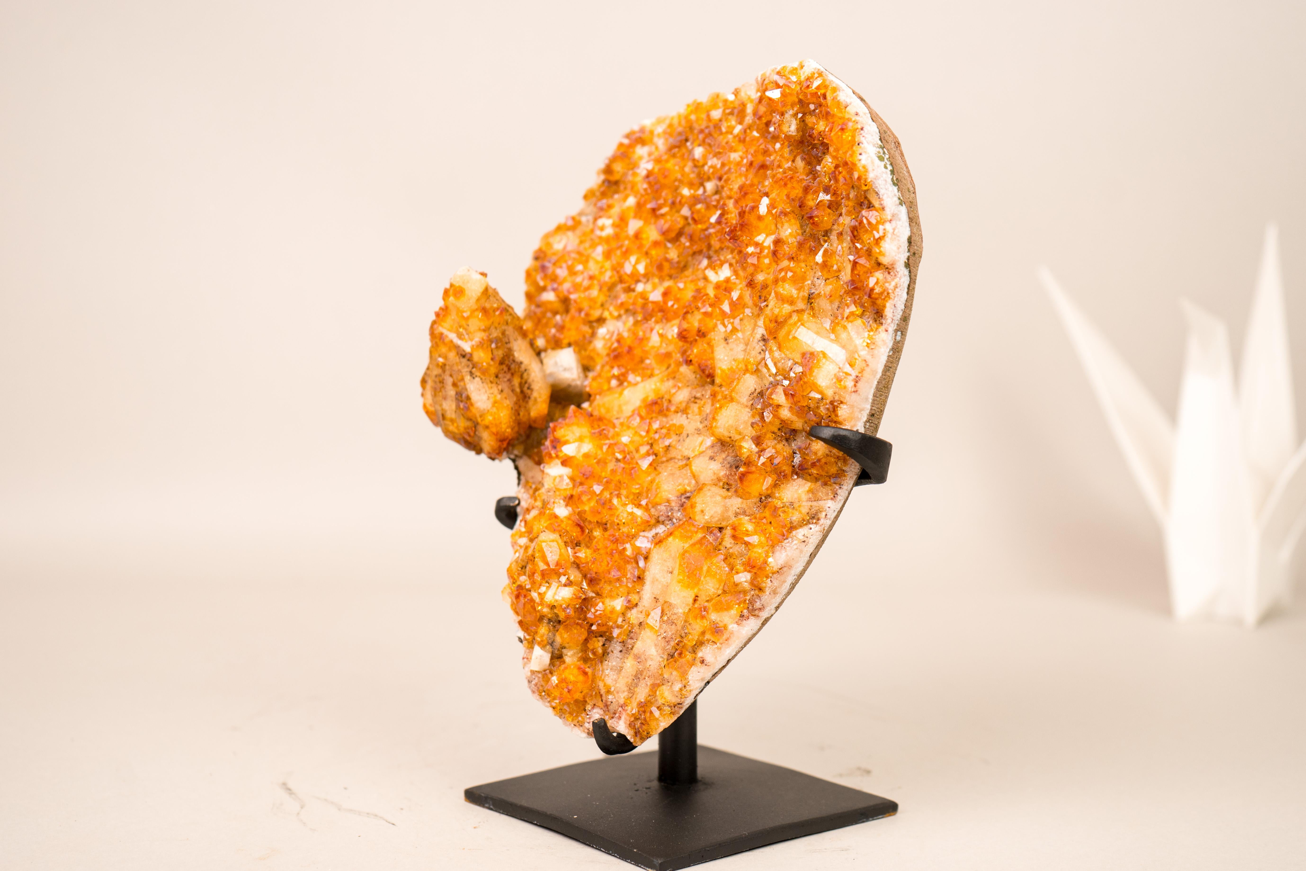 Citrine Cluster with Rich Amber Citrine Druzy and Calcite Flower

▫️ Description

Rare, aesthetic, and beautiful, this specimen showcases a uniquely formed Citrine on Calcite, where a perfect scalenohedral calcite crystal detached from the geode and