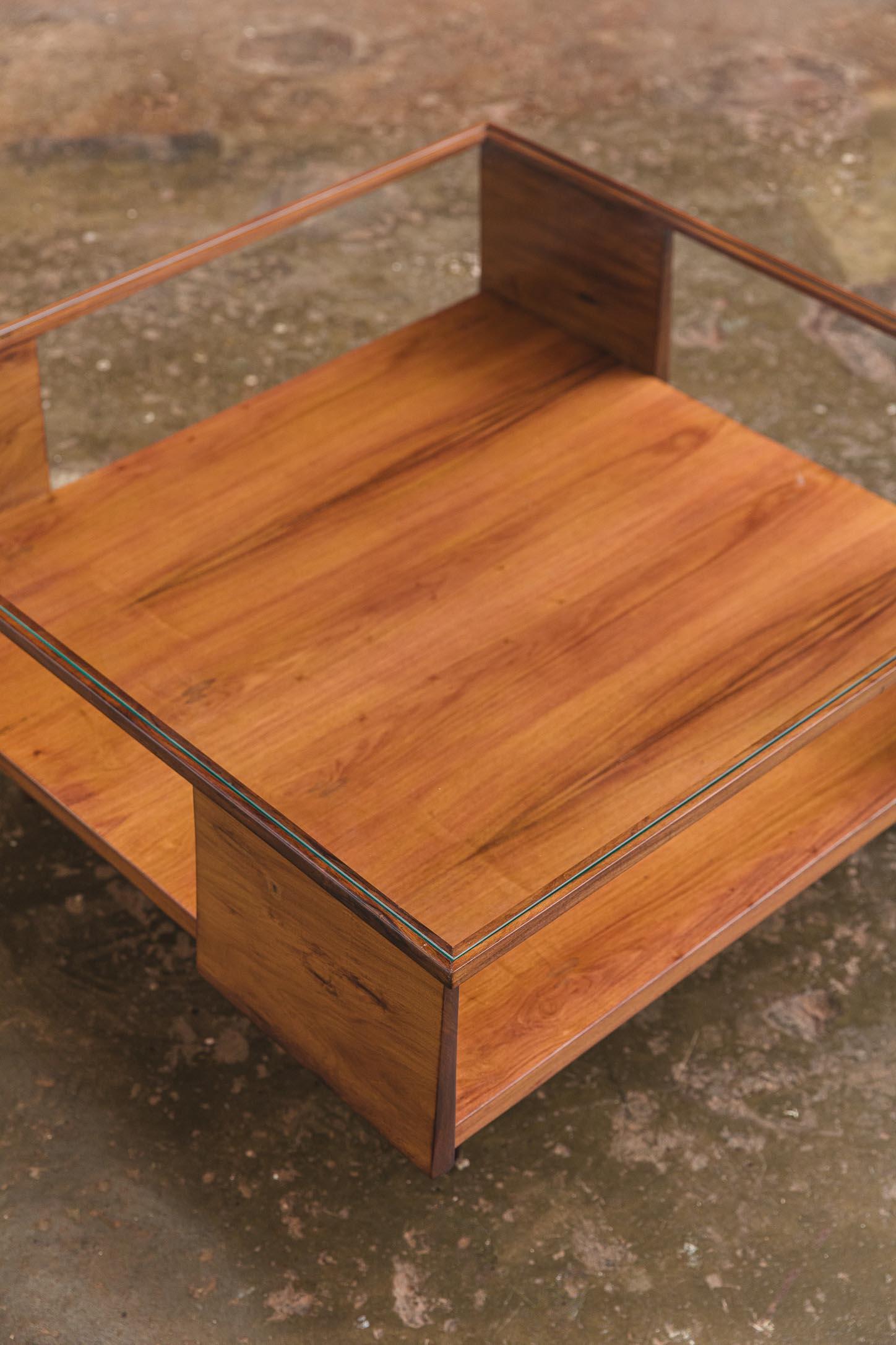 Brazilian Rare coffee table by Martin Eisler For Sale