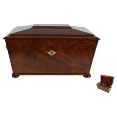 Rare English Mahogany Tea Caddy – Mid 19th Century