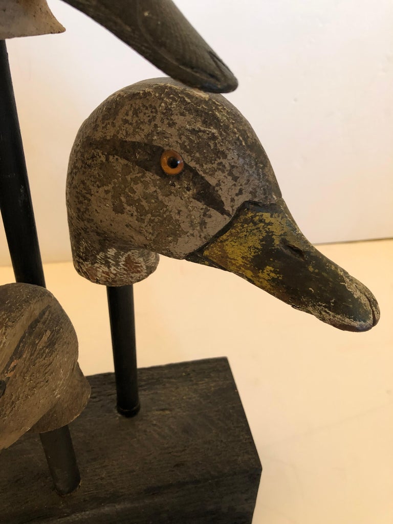 Rare Collection of Antique Duck Decoy Heads Hand Made Rustic Sculpture