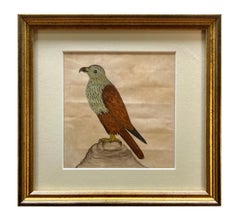 Rara collezione di undici acquerelli di uccelli indiani dell'inizio del XIX secolo