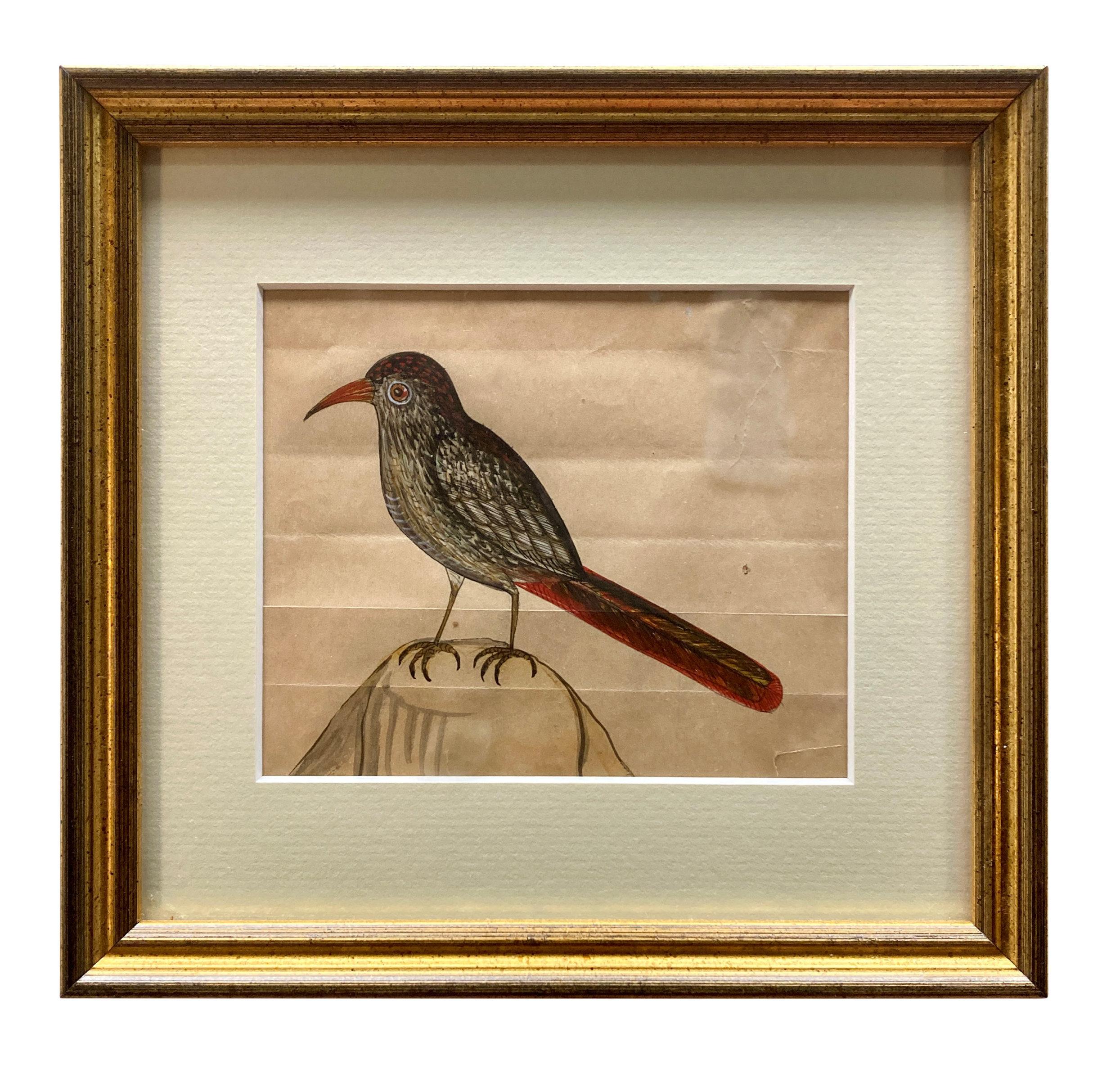 Début du XIXe siècle Rare Collection de onze aquarelles du début du 19e siècle représentant des oiseaux indiens en vente