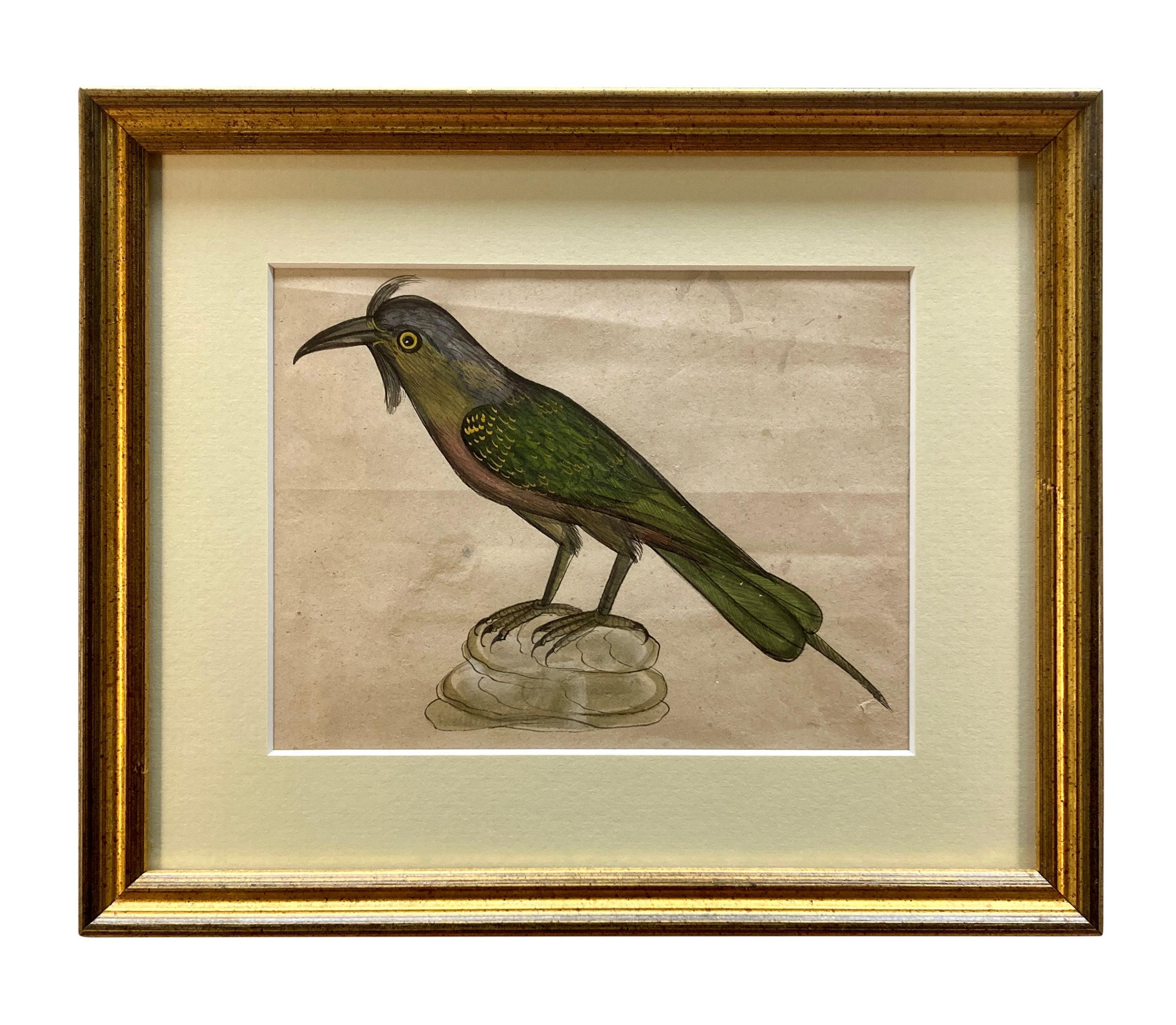 Verre taillé Rare Collection de onze aquarelles du début du 19e siècle représentant des oiseaux indiens en vente