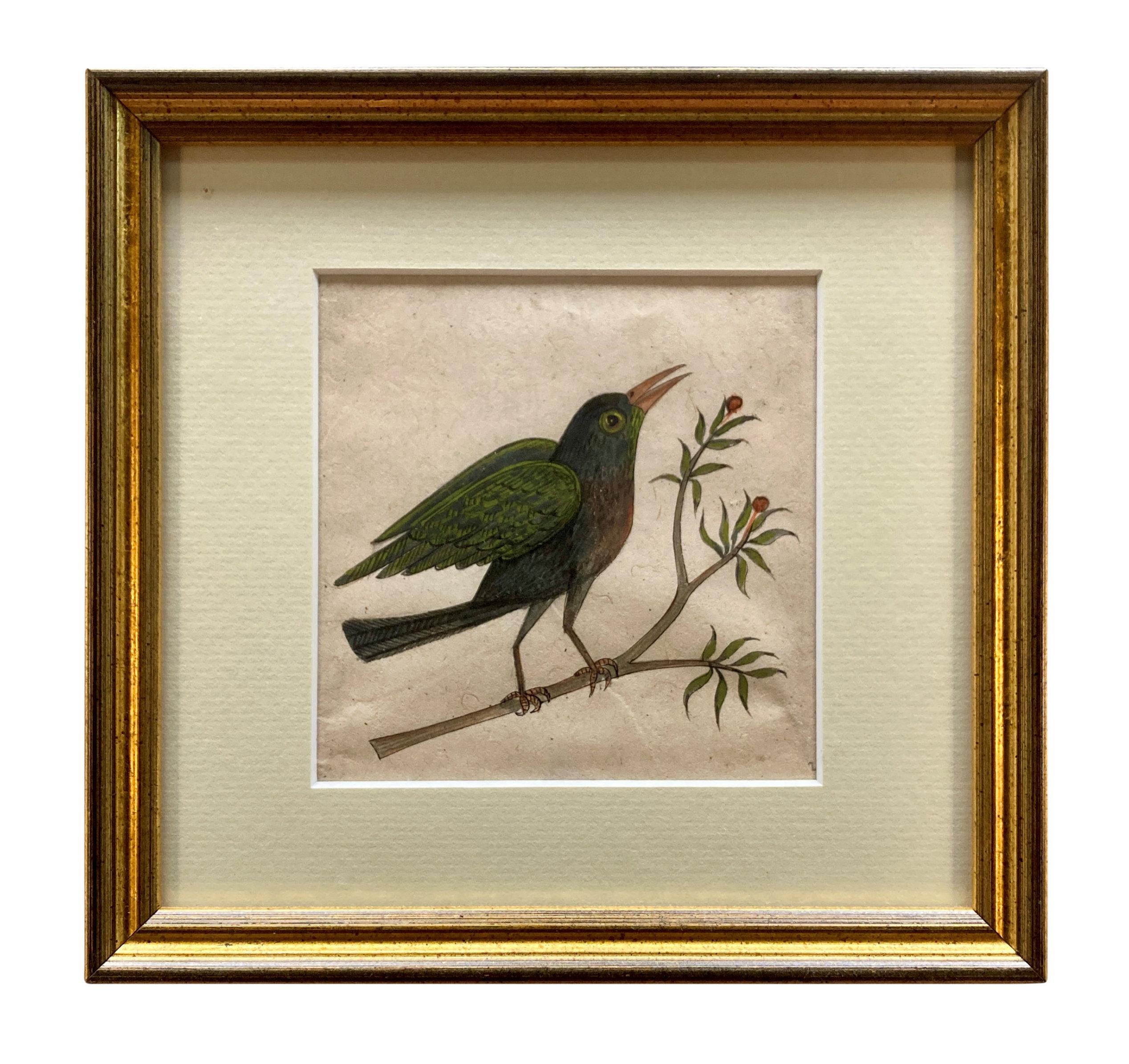 Rare Collection de onze aquarelles du début du 19e siècle représentant des oiseaux indiens en vente 1