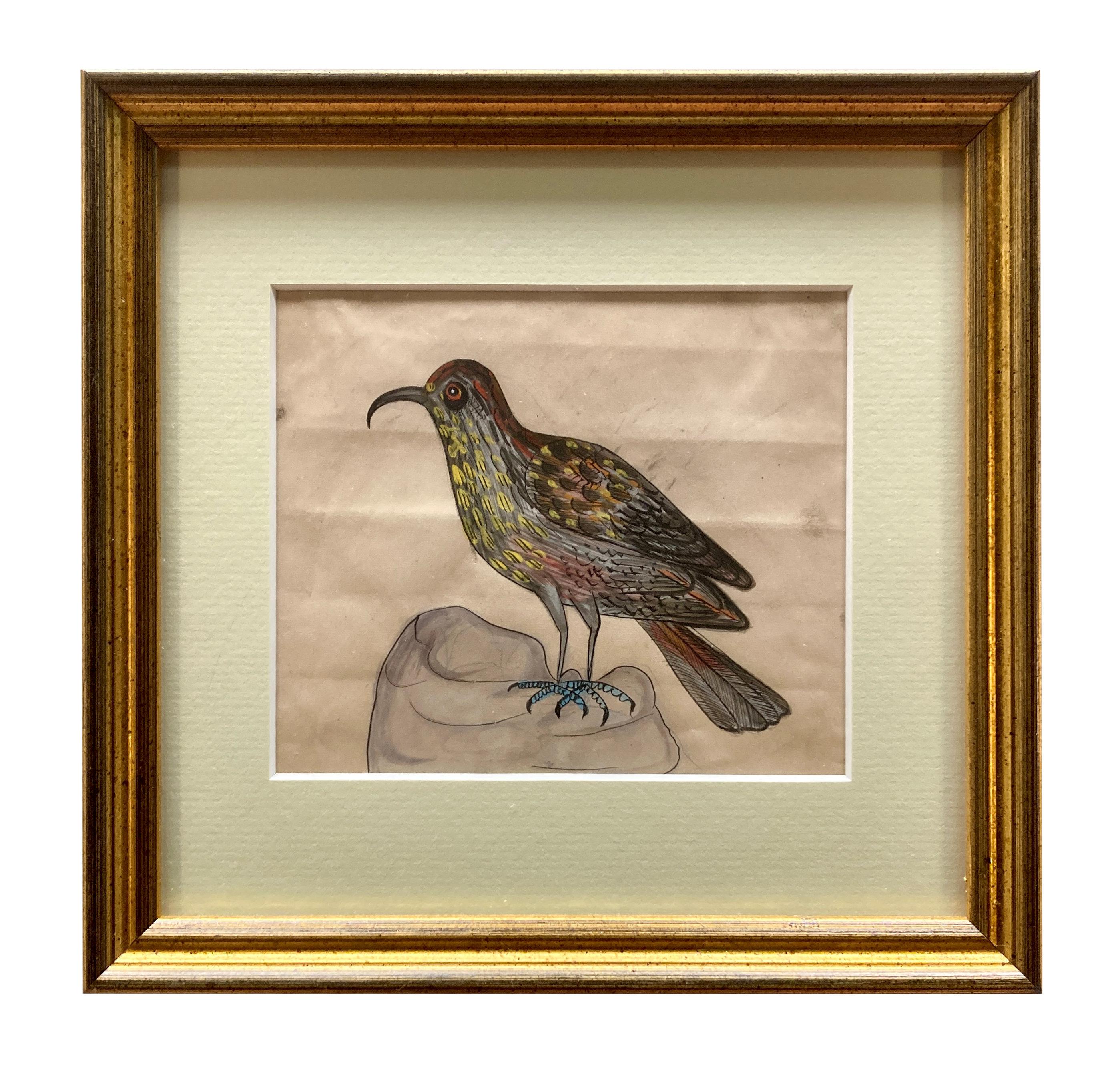 Rare Collection de onze aquarelles du début du 19e siècle représentant des oiseaux indiens en vente 3