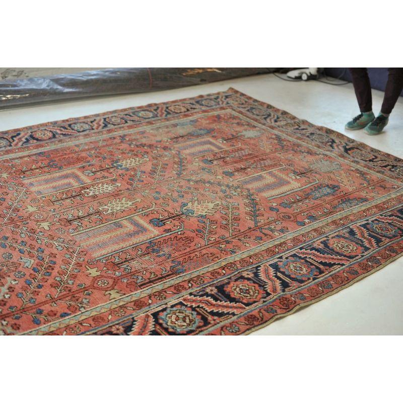 Rare Collector's Willow Tree of Life Antique Persian Heriz Northwest Village Rug For Sale 16