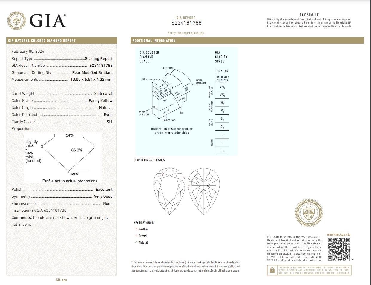 Seltene Farben 2ct Gelb Birne Form mit weißen Halo Diamant Anhänger Halskette im Zustand „Neu“ in New York, NY
