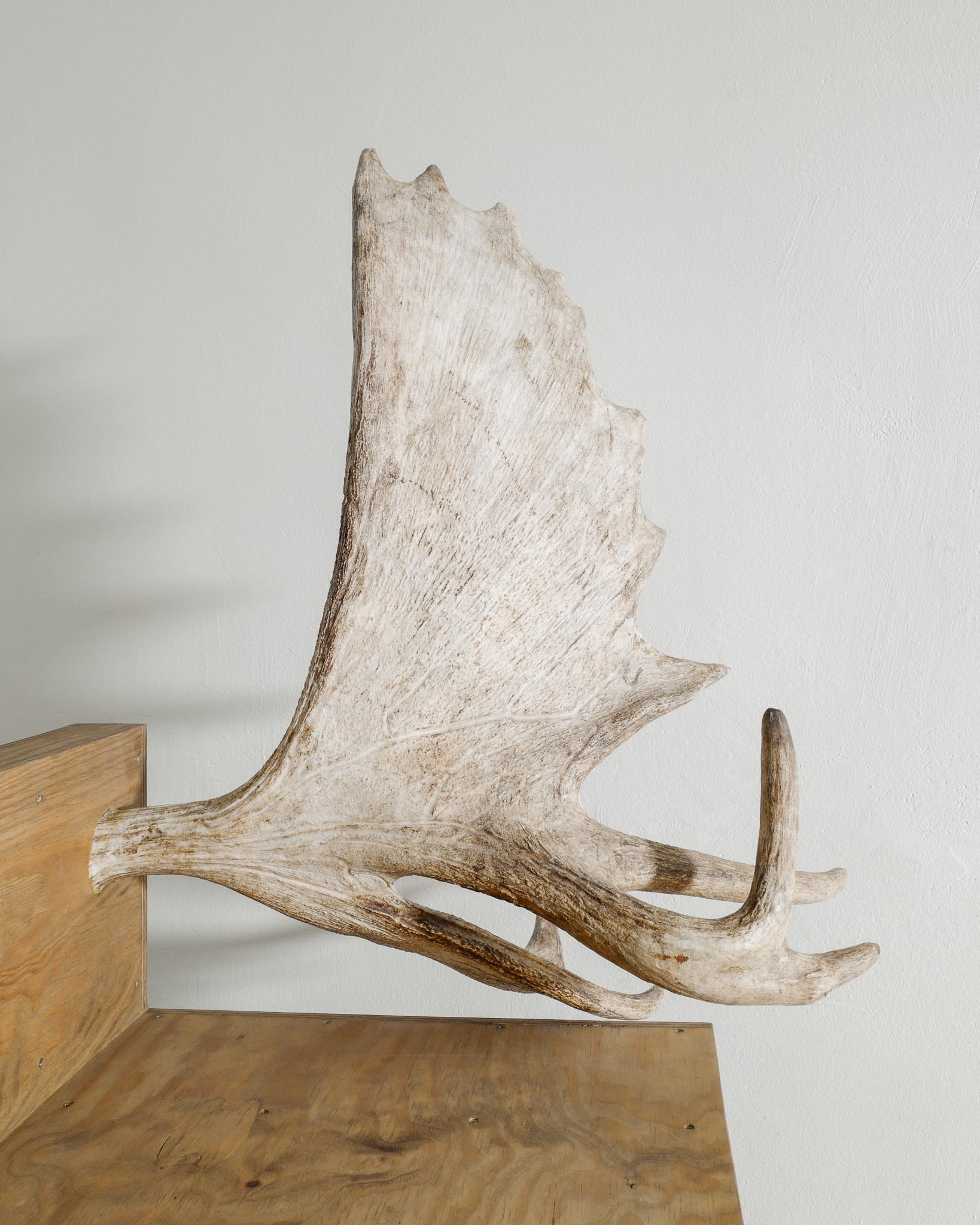 Rare Contemporary Wooden 
