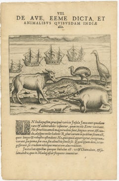 Rare Creatures of the East: A 1601 de Bry Copper Engraving from the Indies