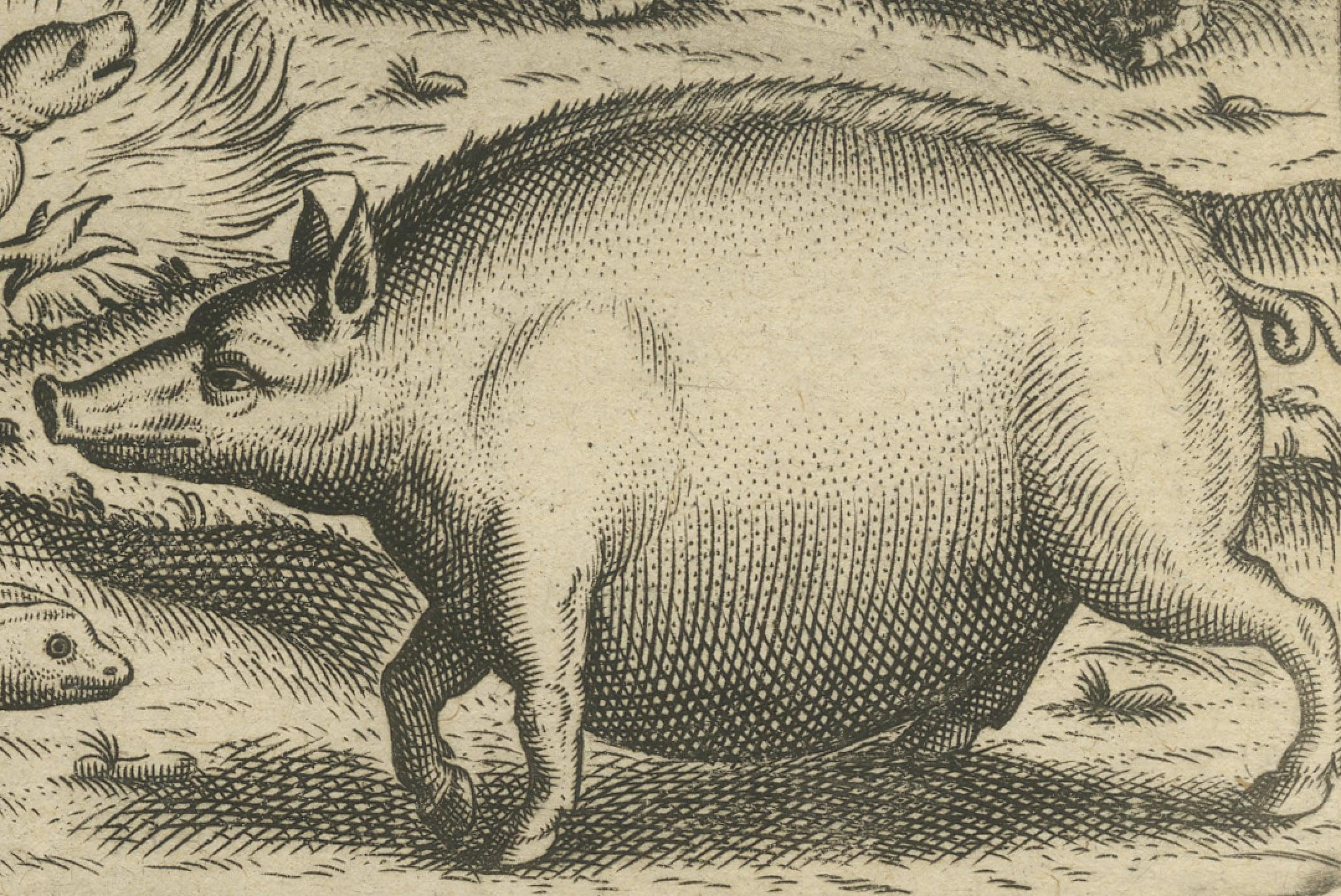 17th Century Rare Creatures of the East: A 1601 de Bry Copper Engraving from the Indies For Sale