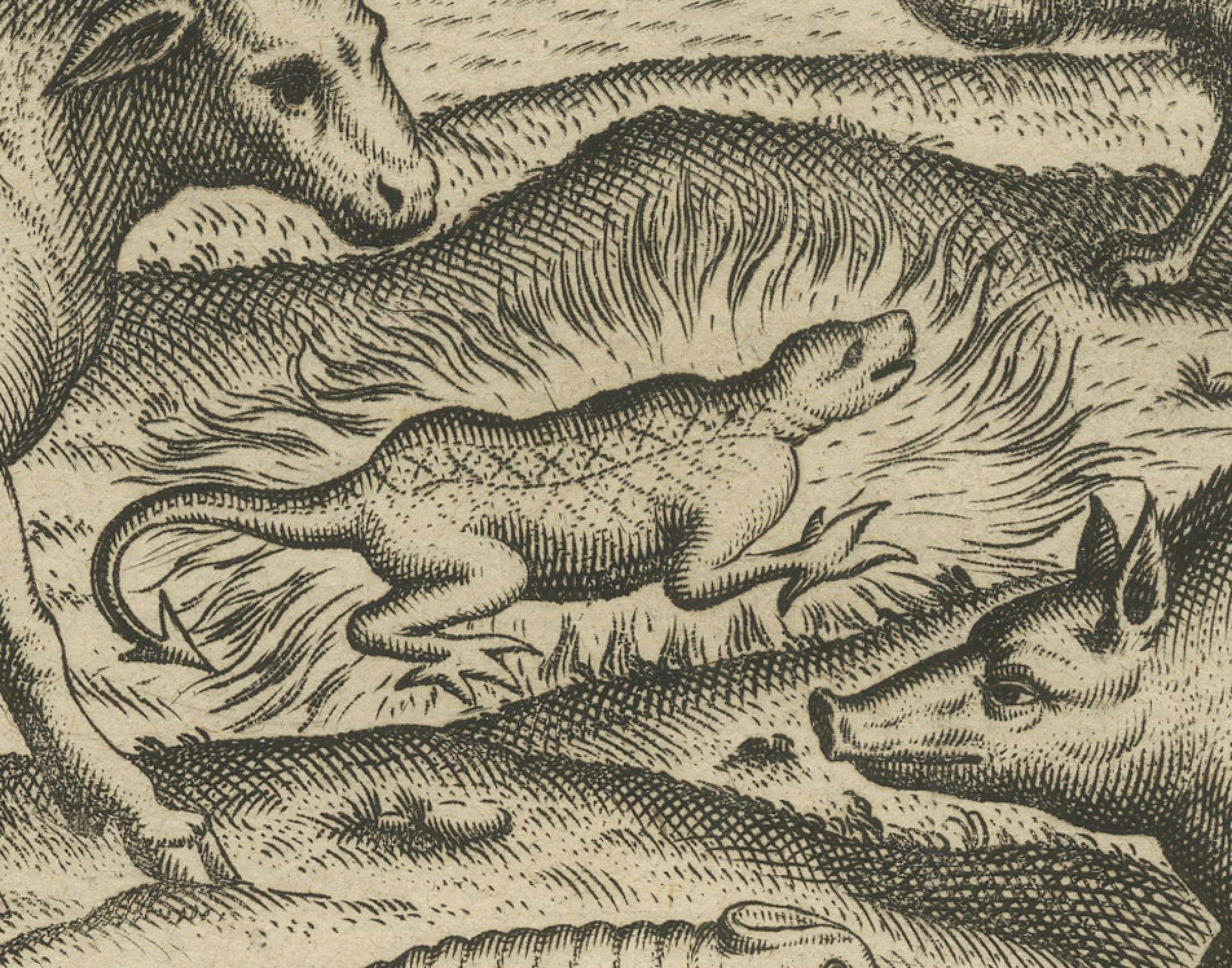 Paper Rare Creatures of the East: A 1601 de Bry Copper Engraving from the Indies For Sale
