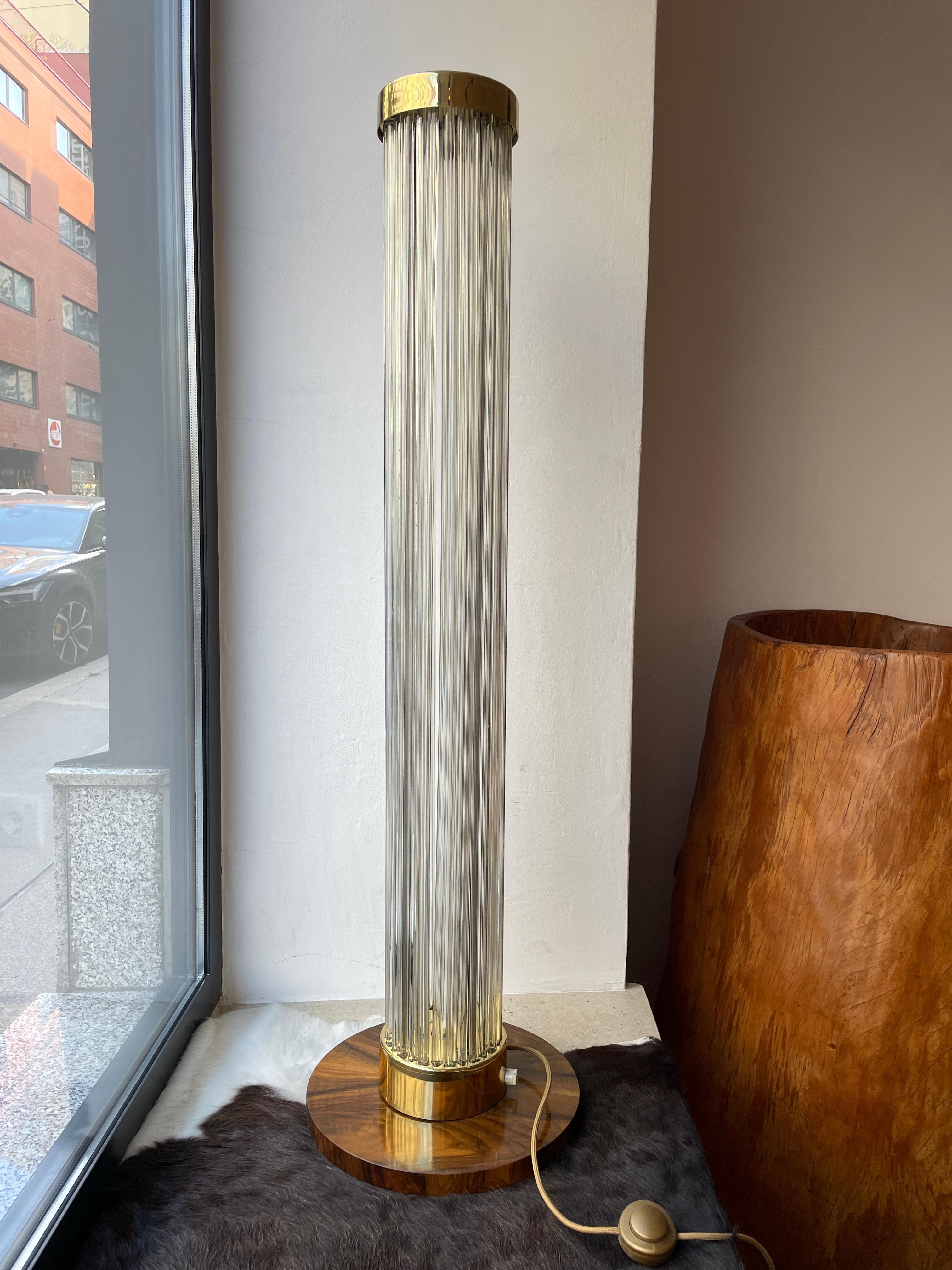 Mid-Century Modern Rare Czechoslovak Floor Lamp from Fa. Preciosa Kamenicky Senov, 1970s For Sale
