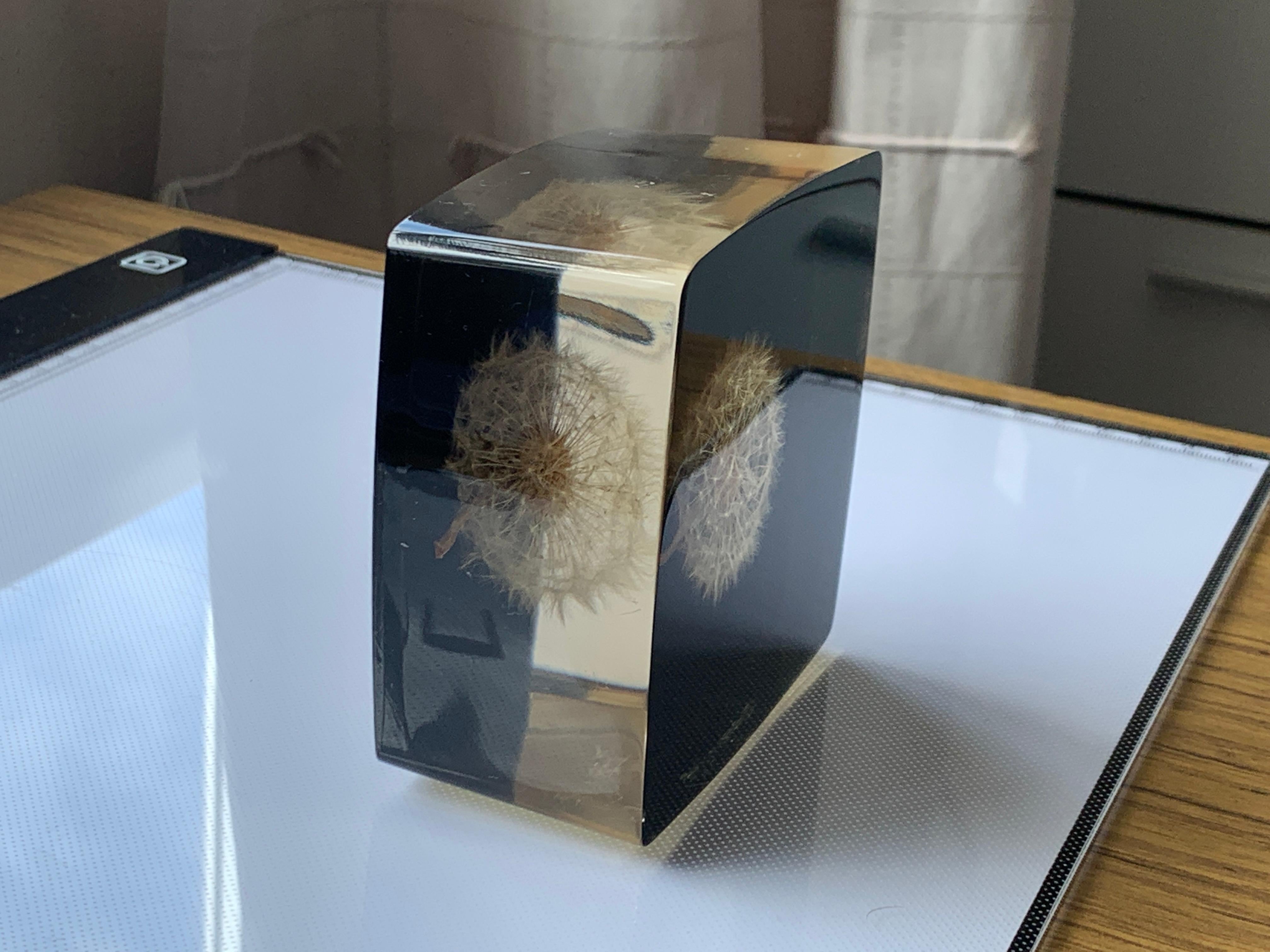 Rétro Rare fleur de dandelion encastrée dans du Perspex en vente