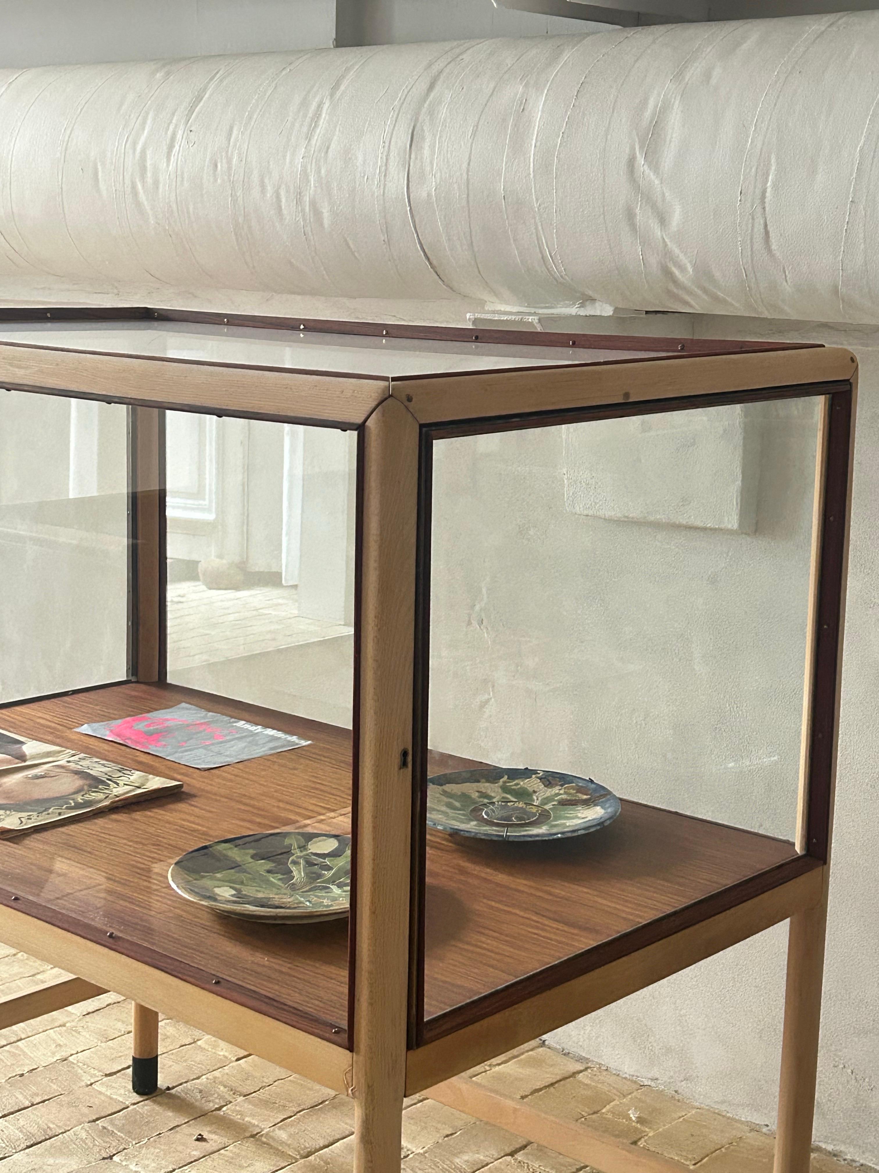 Elegante vitrina danesa finamente elaborada en haya, caoba, latón y cristal, fabricada en la década de 1960 por el ebanista interno de una escuela privada del norte de Zelanda. La pieza combina la claridad funcional con una refinada presencia