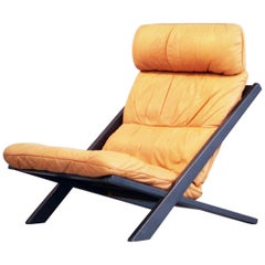 Seltene De Sede Lounge Stuhl Uli Berger Cognac Leder 1970er Jahre High Back