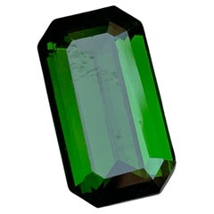 Rare tourmaline naturelle vert profond taille émeraude de 6,30 carats pour bague joaillerie