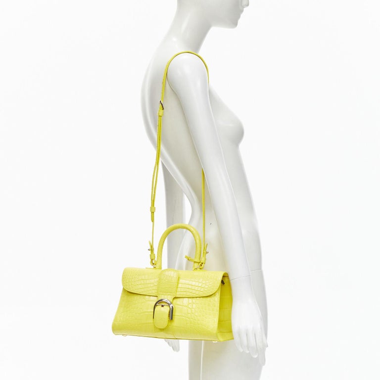 AS NEW Delvaux Brillant PM ostrich at 1stDibs