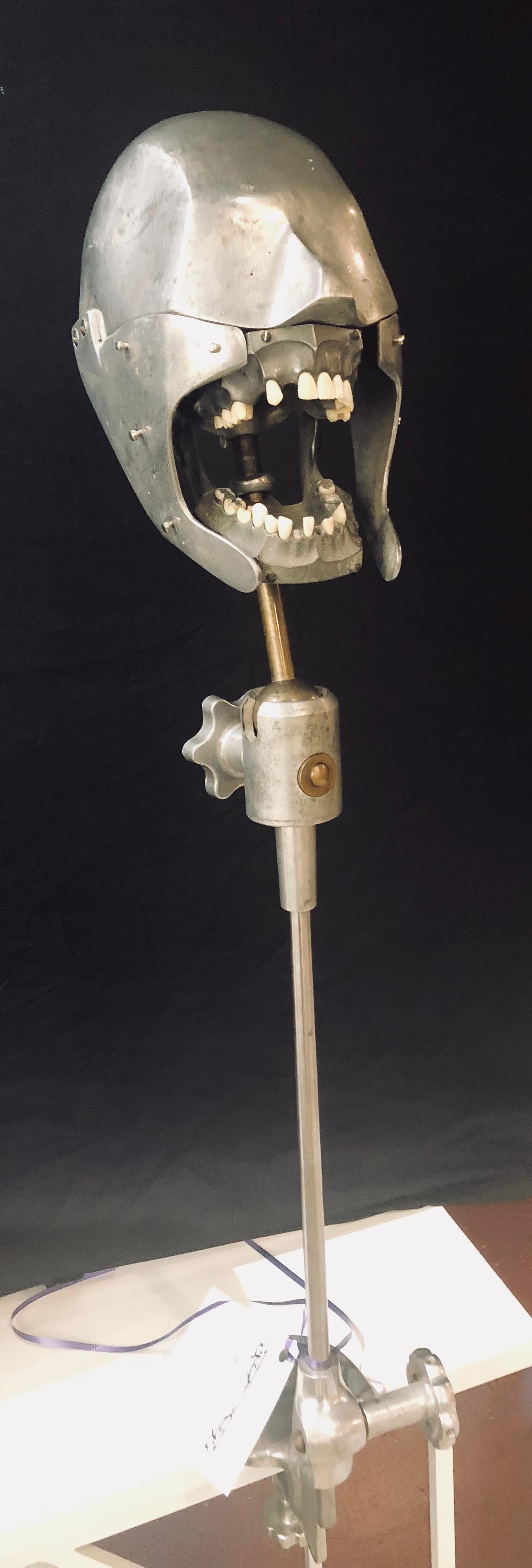 Rare Dental Students Practice Form by Dentoform Earliest Version 4