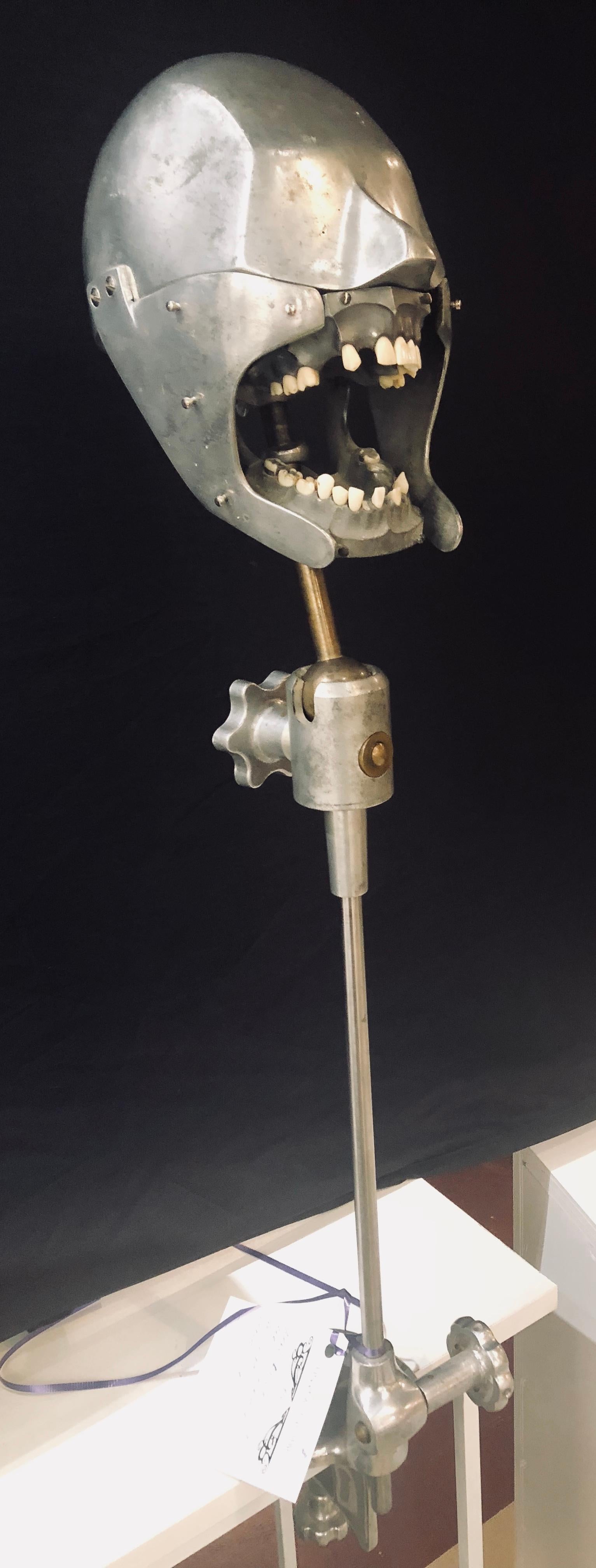 Rare Dental Students Practice Form by Dentoform Earliest Version 5