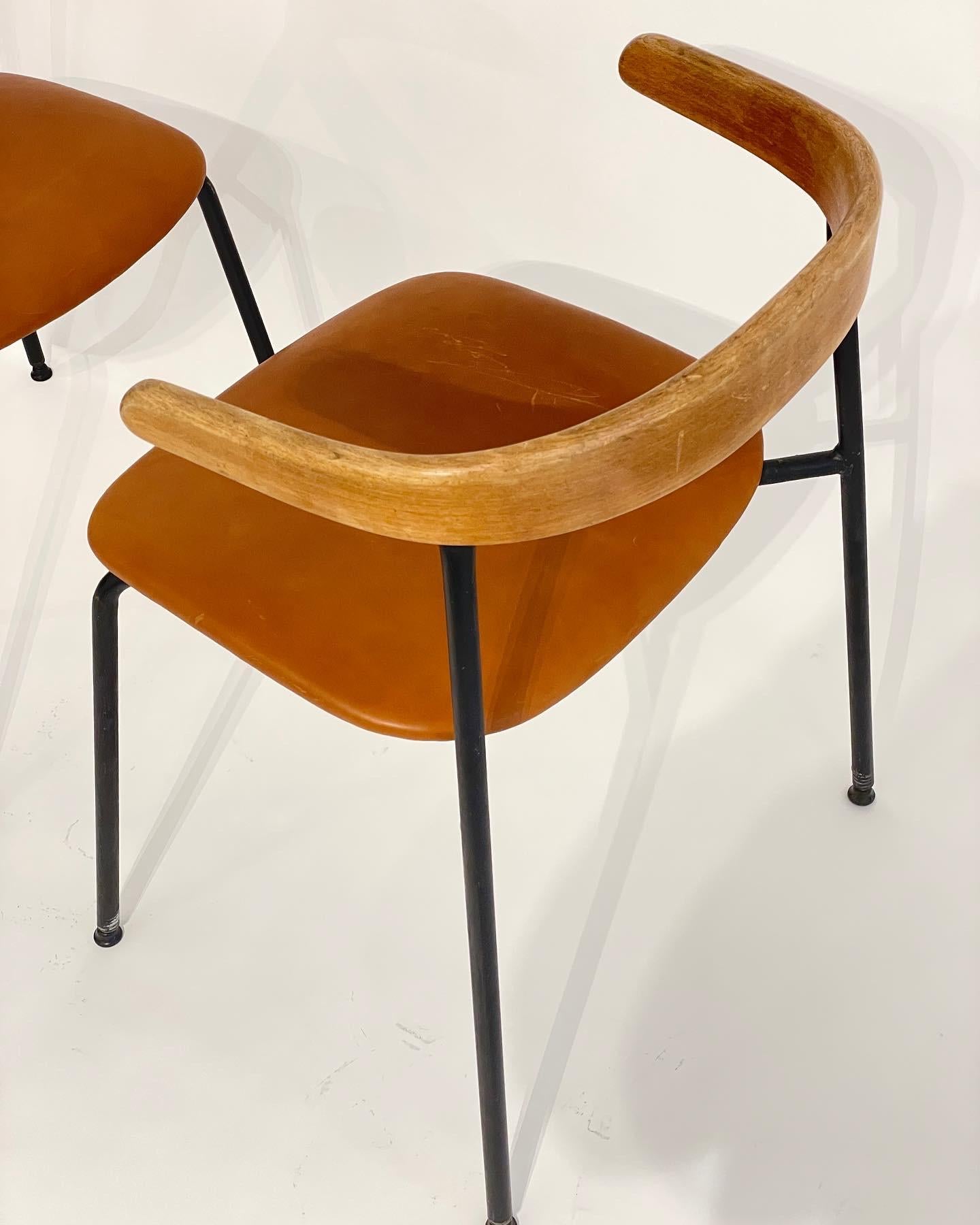 Cloissoné 6 Rare museum Conran C20 Havana dining chairs  