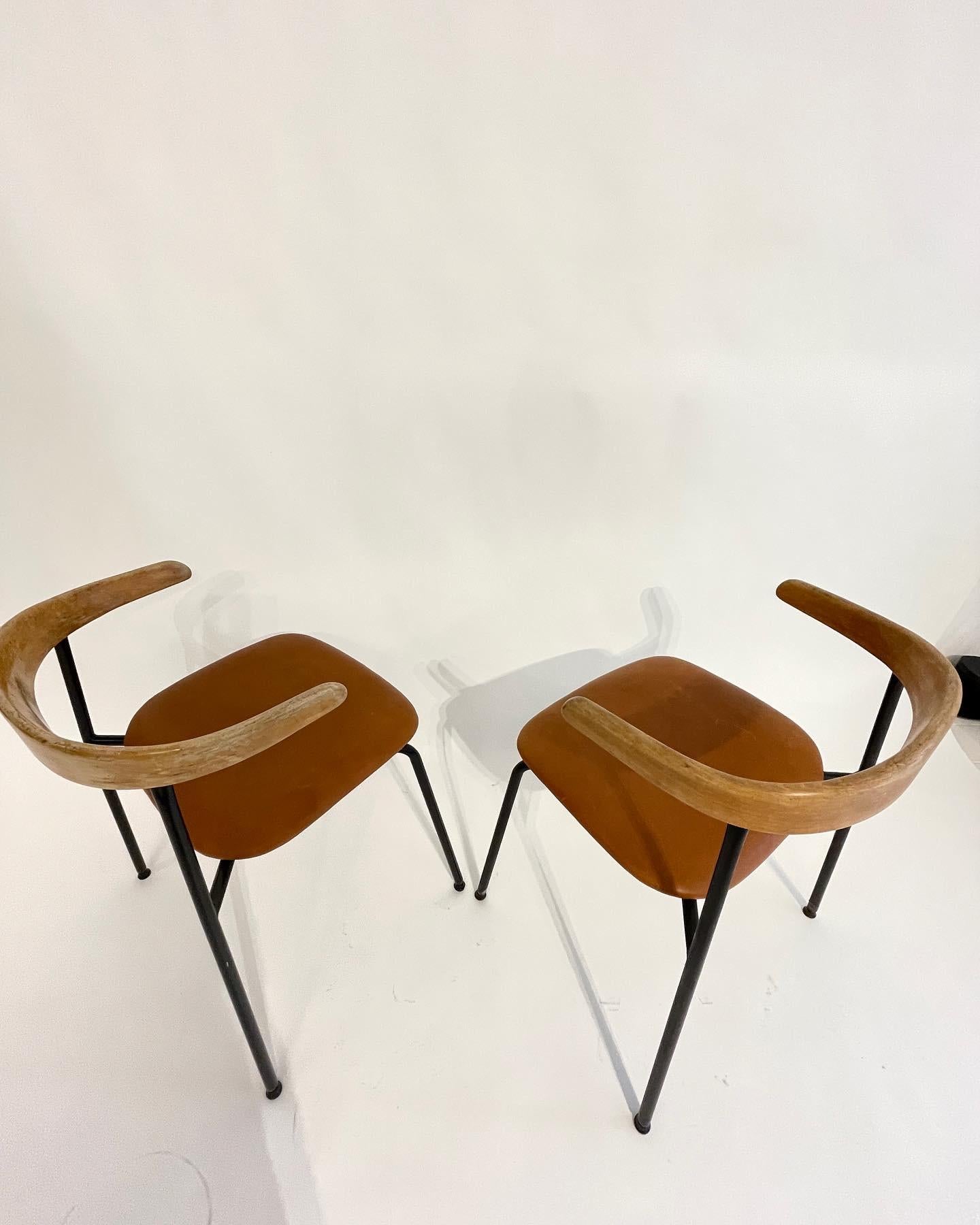 6 Rare museum Conran C20 Havana dining chairs  
