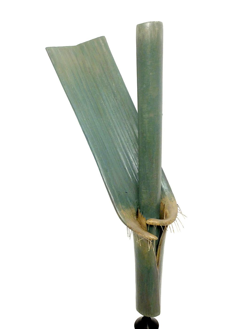 Rare Didactic Botanical Specimen, the Bamboo, Osterloh, Germany, circa 1890 In Excellent Condition In Milan, IT
