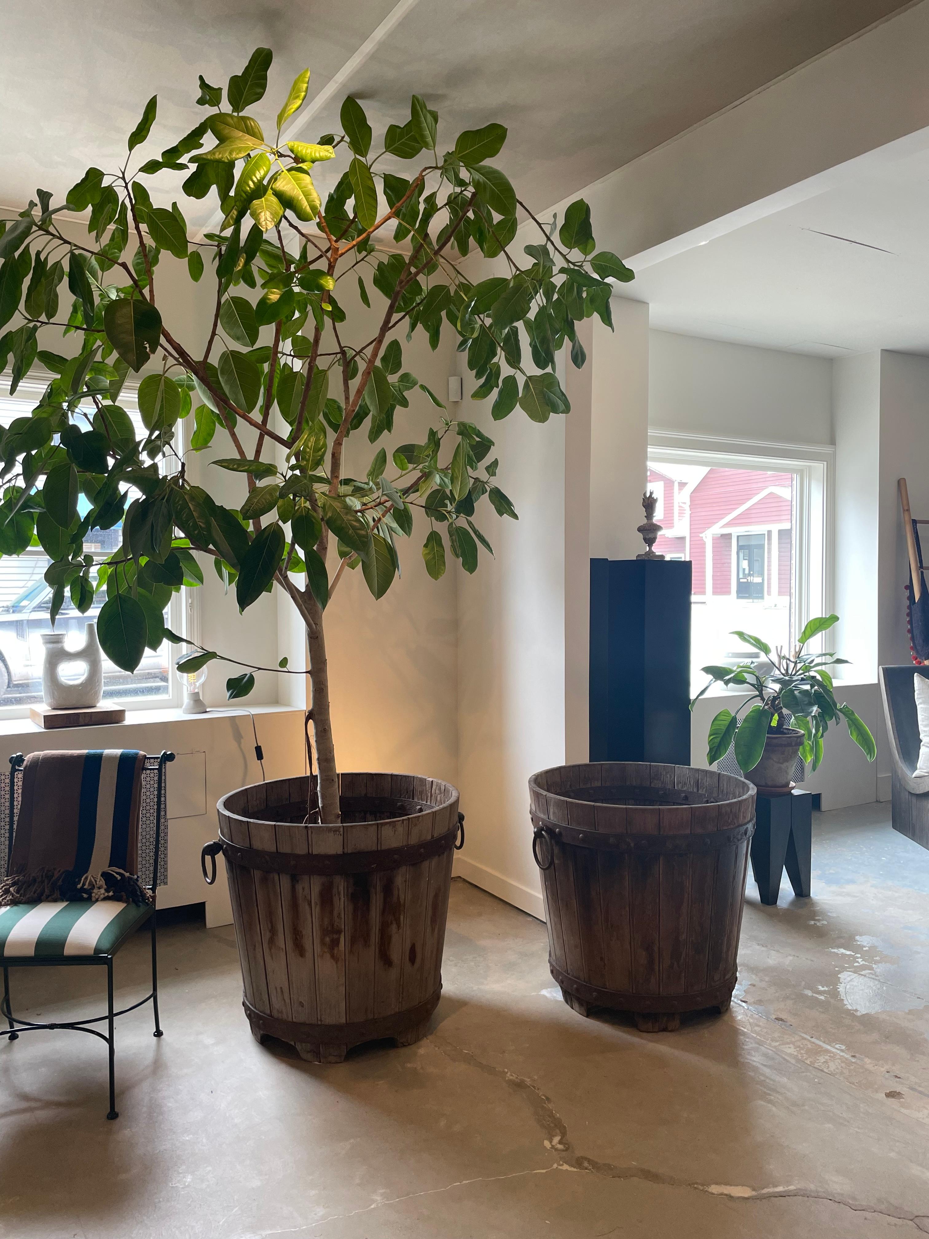 French Rare Early 18th Century L'Orangerie Wood Planters with Forged Metal Detailing