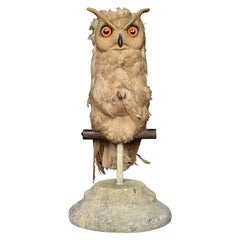 Antique Rare Early 20th Century English Folk-Art Owl Decoy