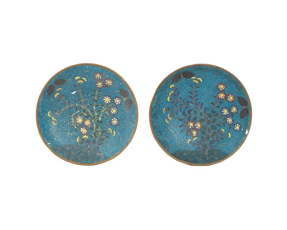 A hard to find pair of antique Japanese brass and cloisonne enamel plates, each is decorated with delicate polychrome enamel floral arrangement on a dark turquoise blue ground. The back side is also skillfully decorated with blue enamel, polychrome
