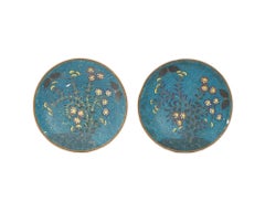 Rare Early Meiji Pair Of Japanese Cloisonne Enamel Plates Floral Arrangement