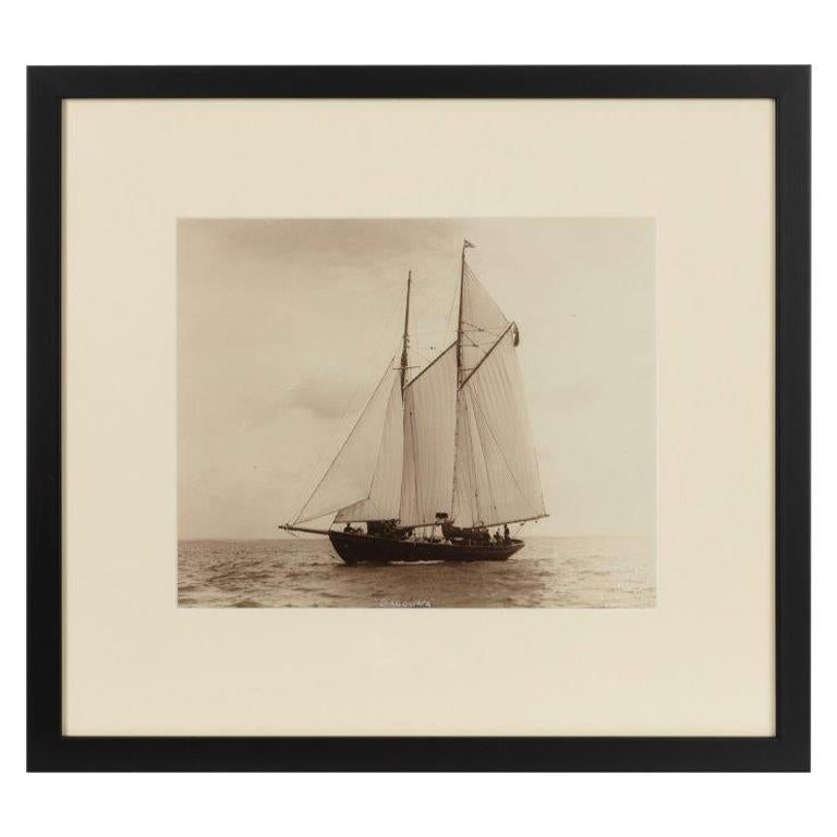 Rare impression photographique ancienne de la goélette Cacouna virant de bord dans le Solent