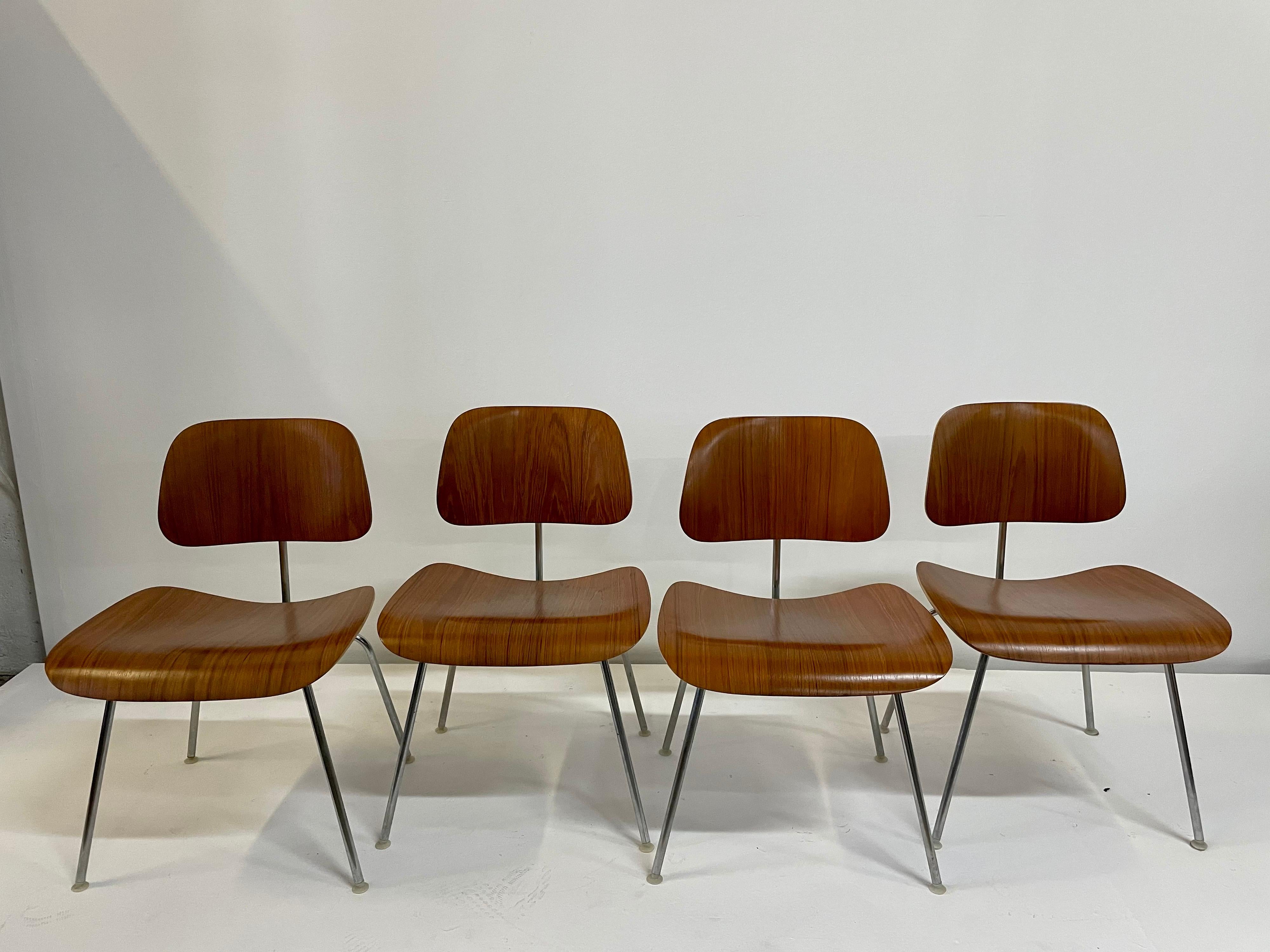 Rare Early Set of Charles and Ray Eames for Herman Miller Chairs in Zebrawood For Sale 6