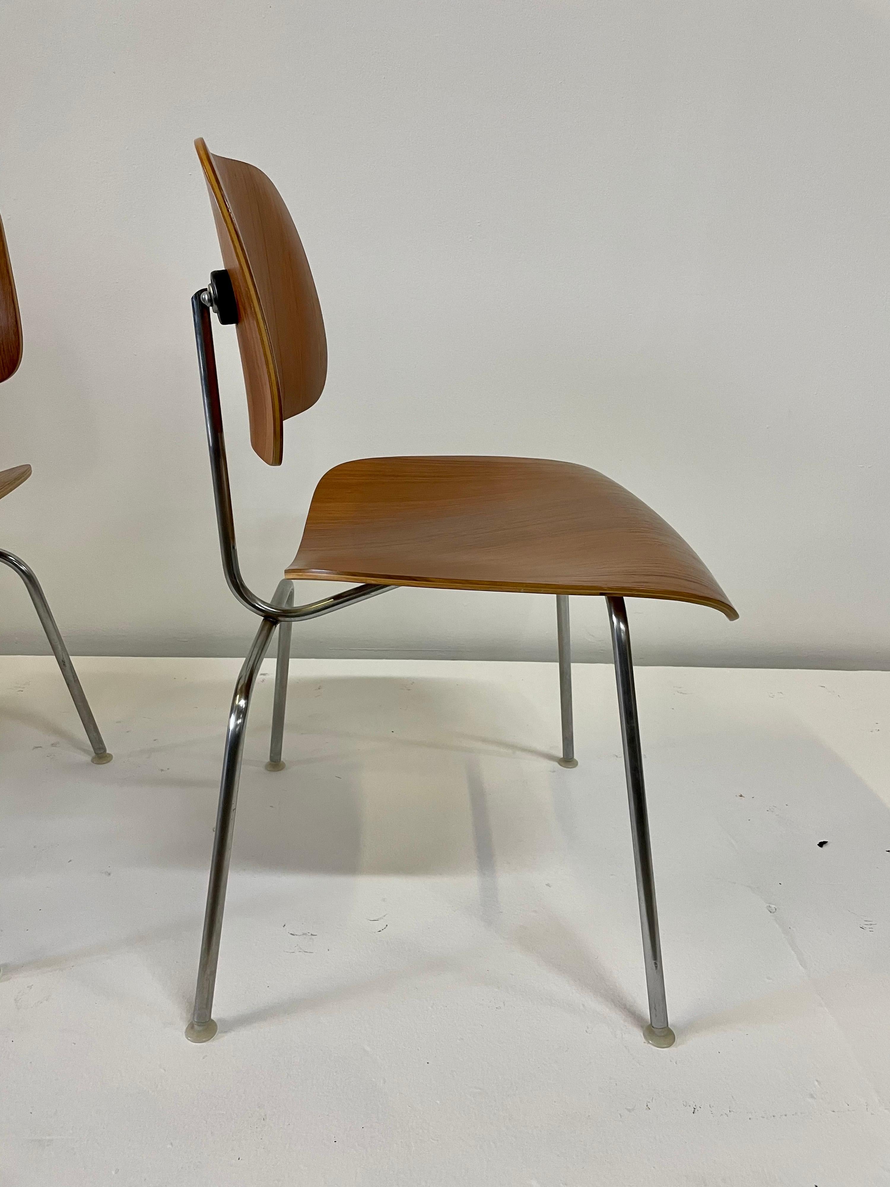 Rare Early Set of Charles and Ray Eames for Herman Miller Chairs in Zebrawood In Good Condition For Sale In East Hampton, NY