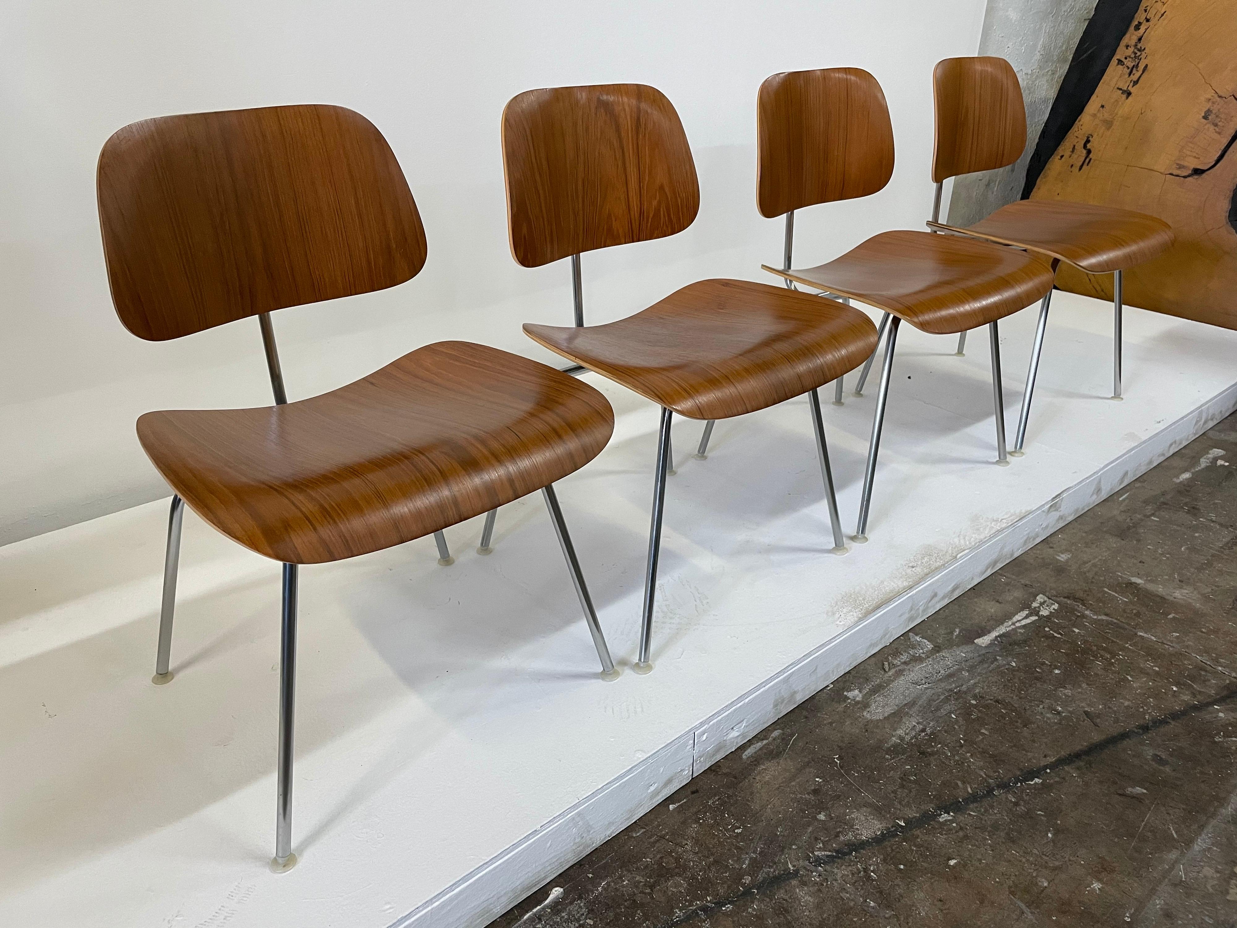 Rare Early Set of Charles and Ray Eames for Herman Miller Chairs in Zebrawood For Sale 1