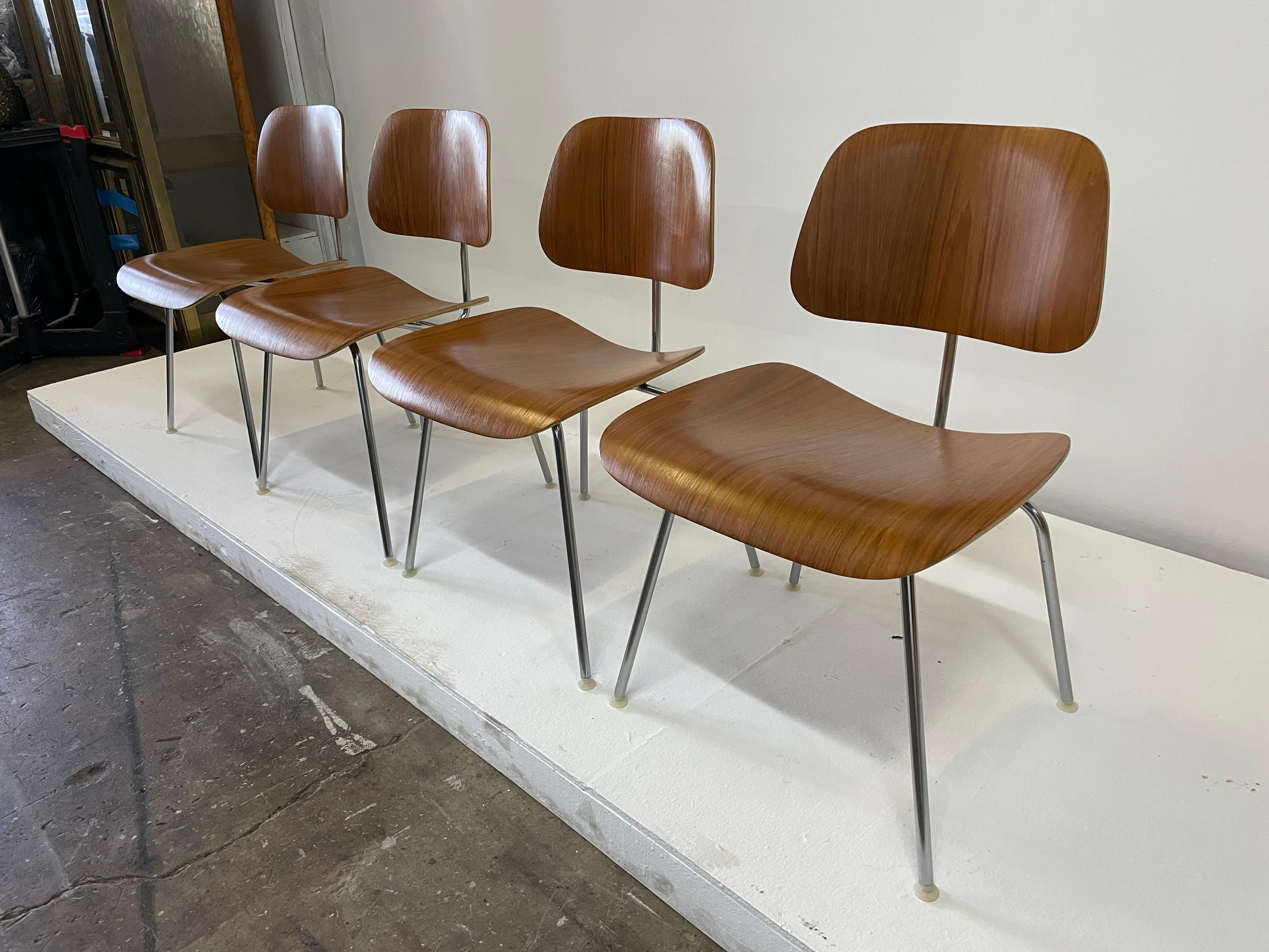 Rare Early Set of Charles and Ray Eames for Herman Miller Chairs in Zebrawood For Sale 2