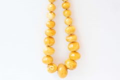 Rare Egg Yolk Baltic 237 gram with 14.5mm to 42mm beads Amber Necklace