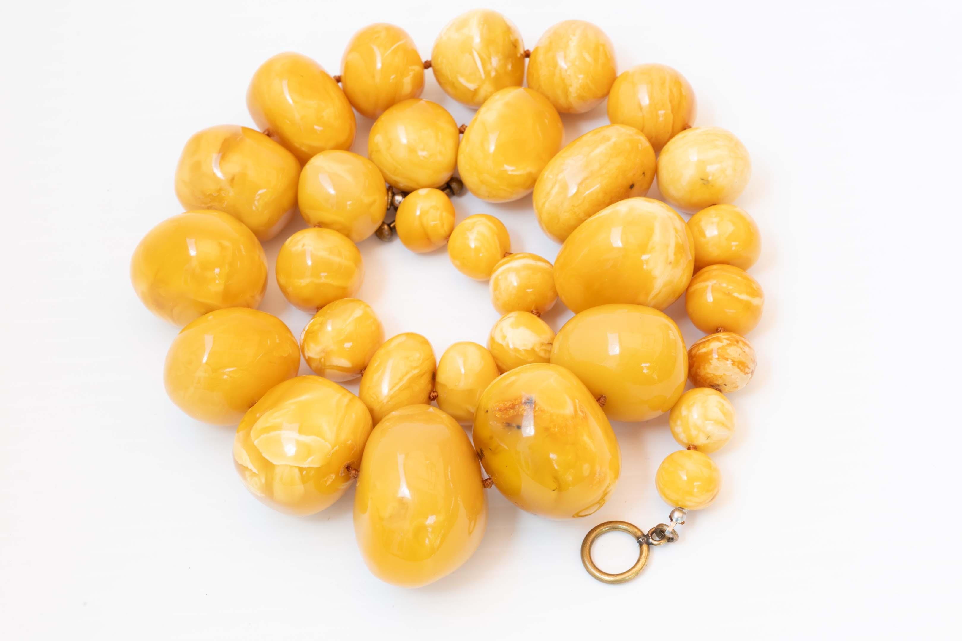 Bead Rare Egg Yolk Baltic 237 gram with 14.5mm to 42mm beads Amber Necklace For Sale