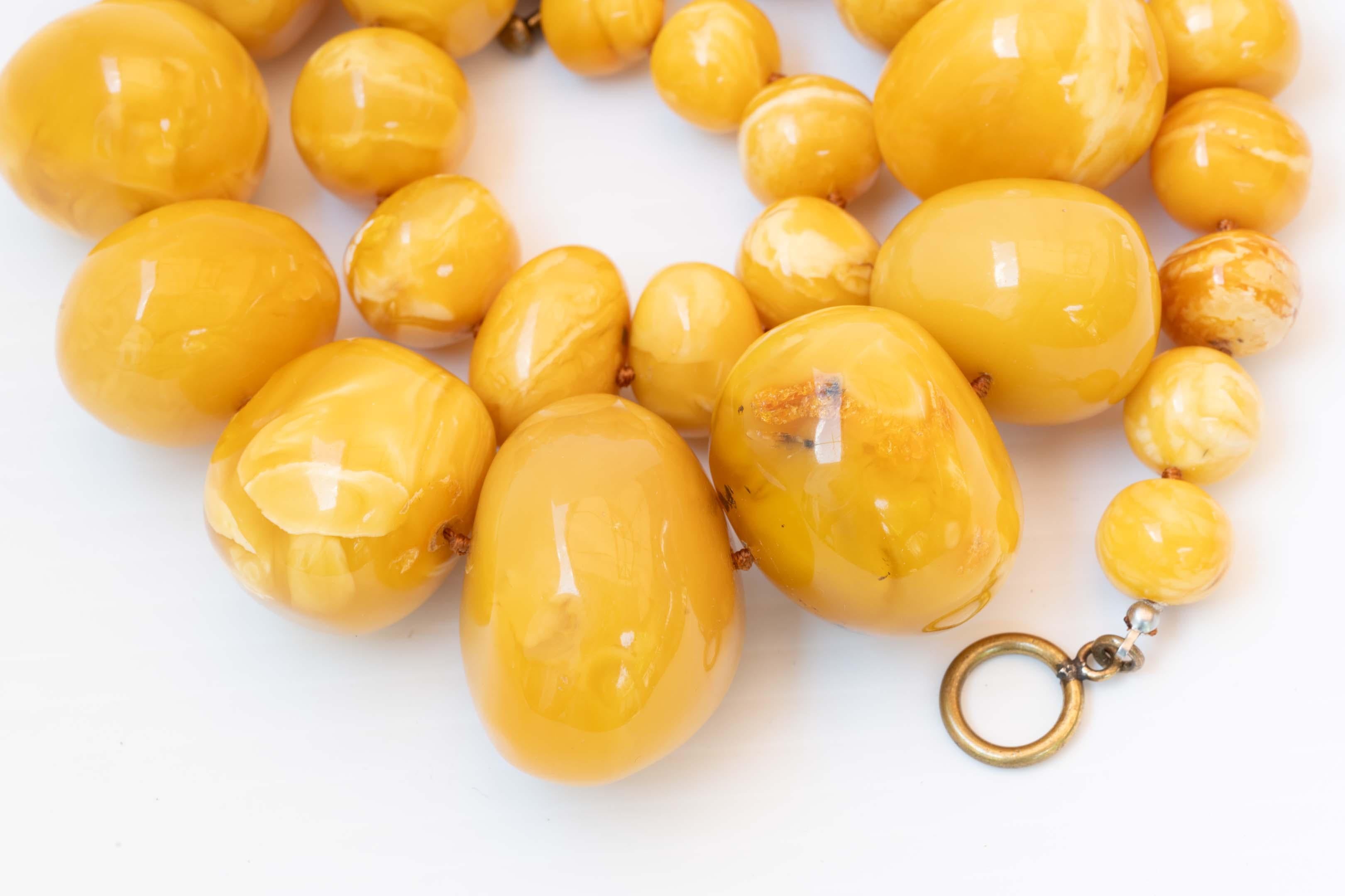 Rare Egg Yolk Baltic 237 gram with 14.5mm to 42mm beads Amber Necklace In Good Condition For Sale In Montreal, QC