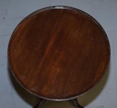 Rare Elegantly Carved Scottish Antique Mahogany Tripod Lamp Side End Wine Table