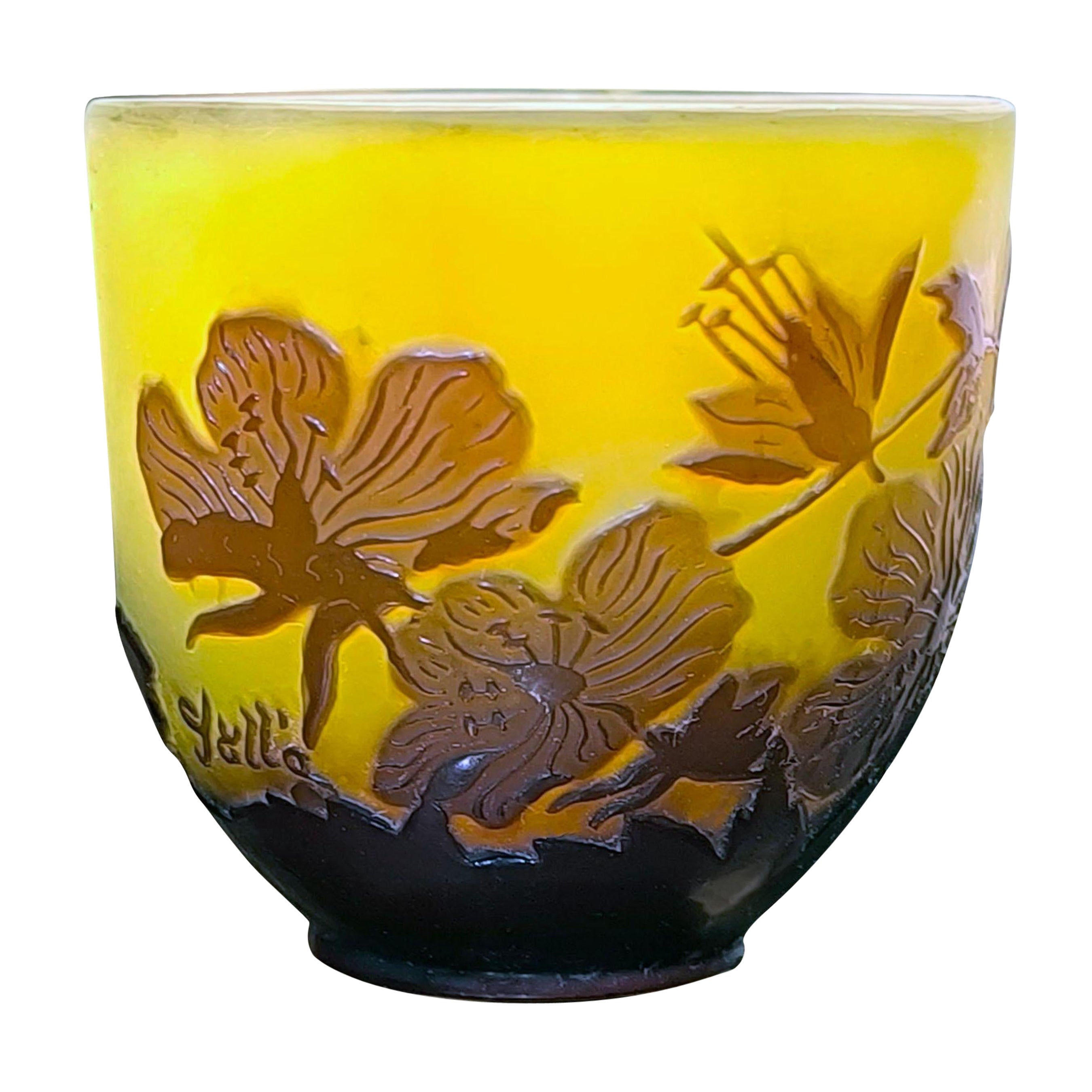 Raro vaso in vetro cammeo di Emile Gallé con motivo Anémone des Alpes, circa 1900