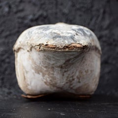 Rare English Folk Art Papier Mâché Decoy Goose