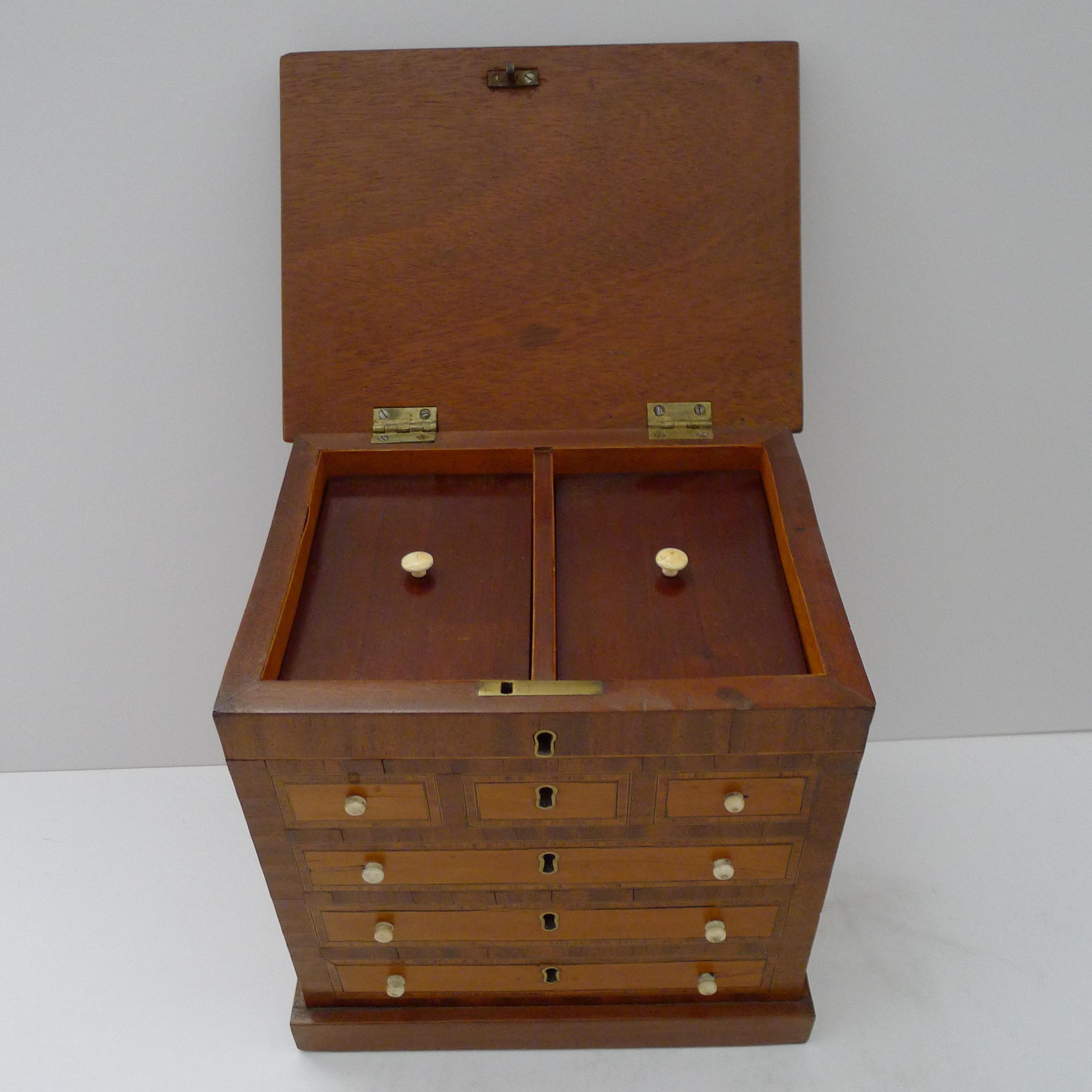 British Rare English Mahogany Tea Caddy - Form of Chest of Drawers c.1880 For Sale