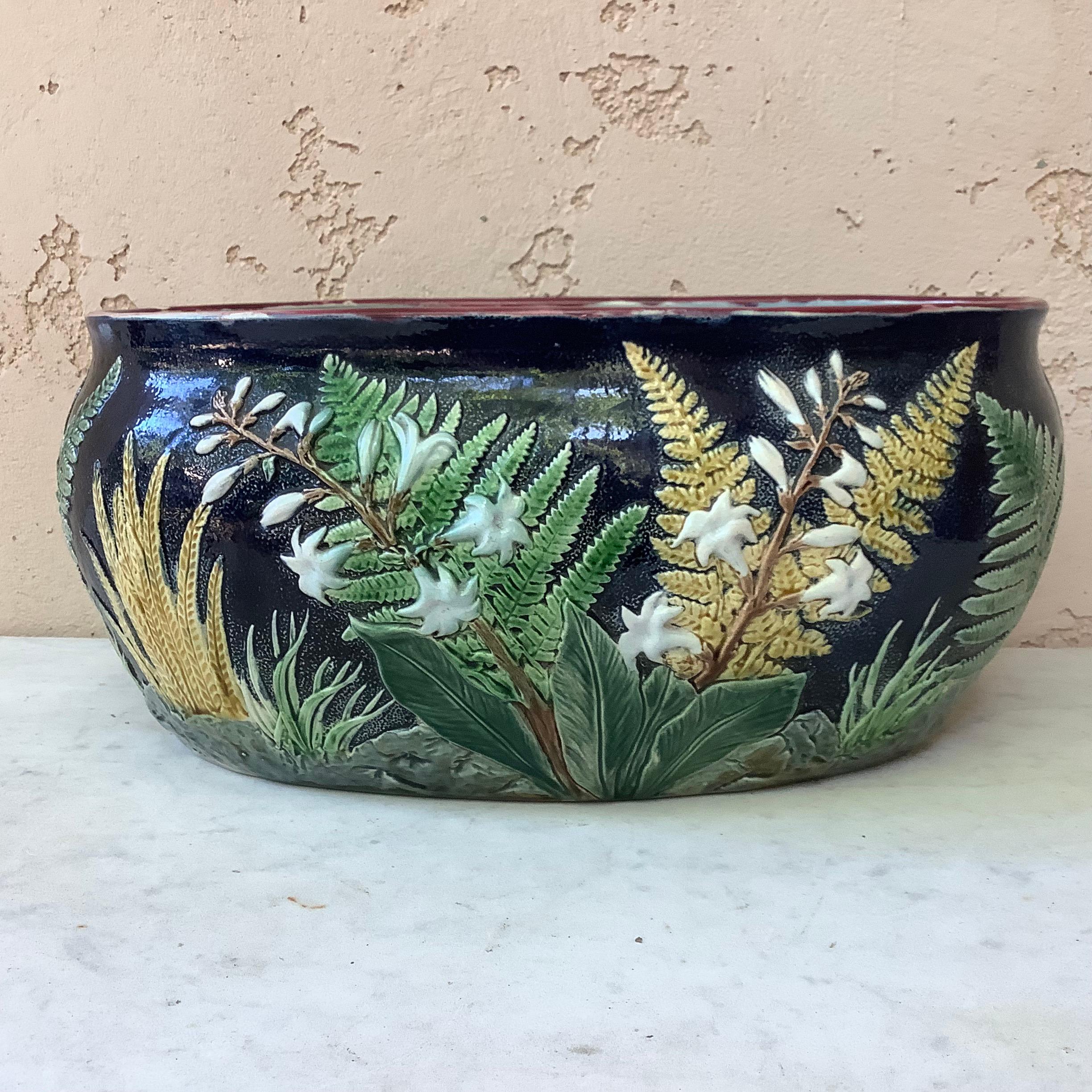 Rare English Victorian Majolica fern & flowers Jardiniere signed Joseph Holdcroft, circa 1880.
The 2 sides are different one side have pink flowers the other white flowers , the background is cobalt blue with leaves and large ferns.