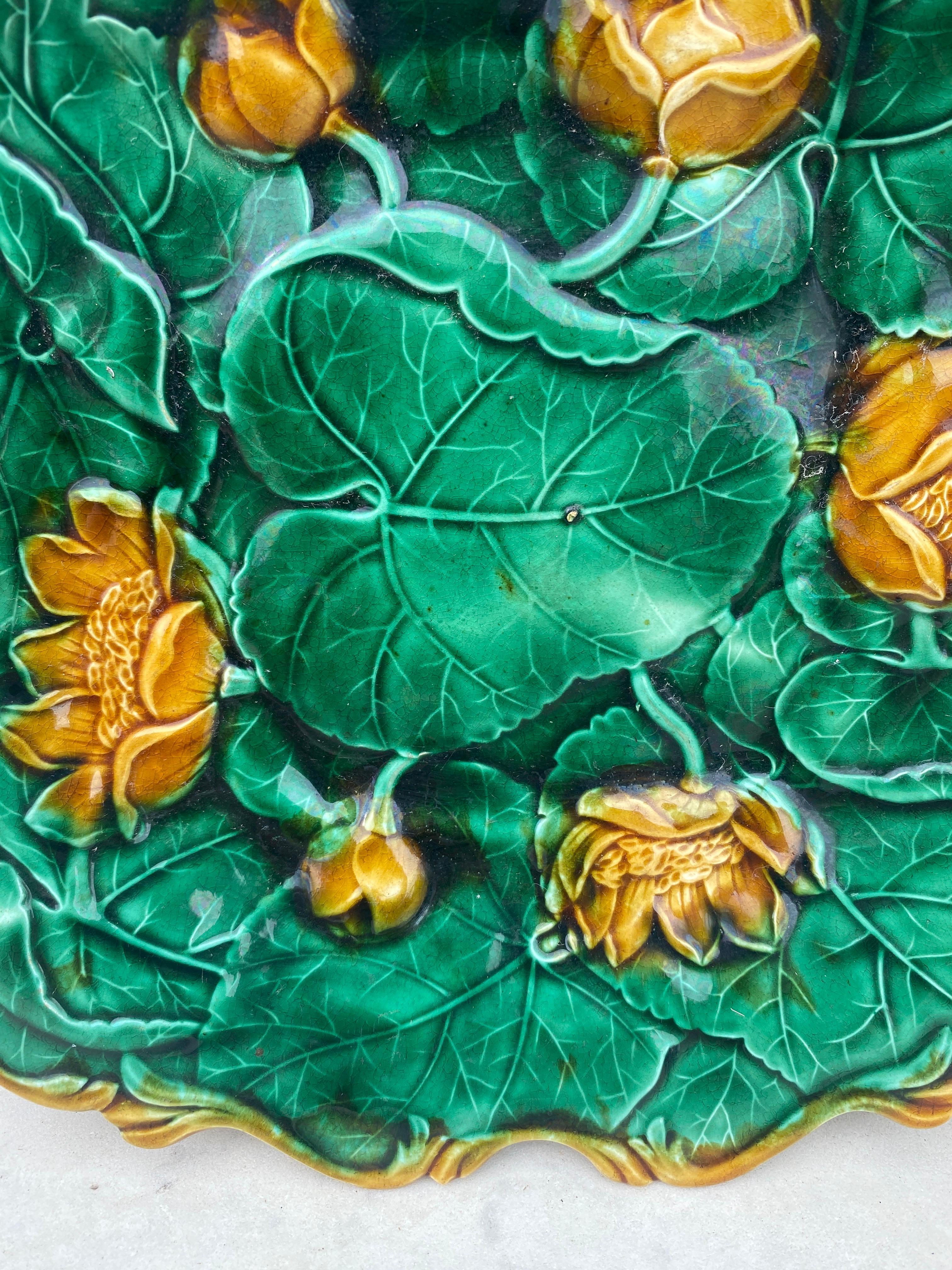Late 19th Century Rare English Majolica Water Lilies Platter Adams & Co Circa 1890 For Sale