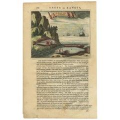 Antique Rare Engraving Picturing Fish from Crete and Dutch Ships, Coloured, 1688